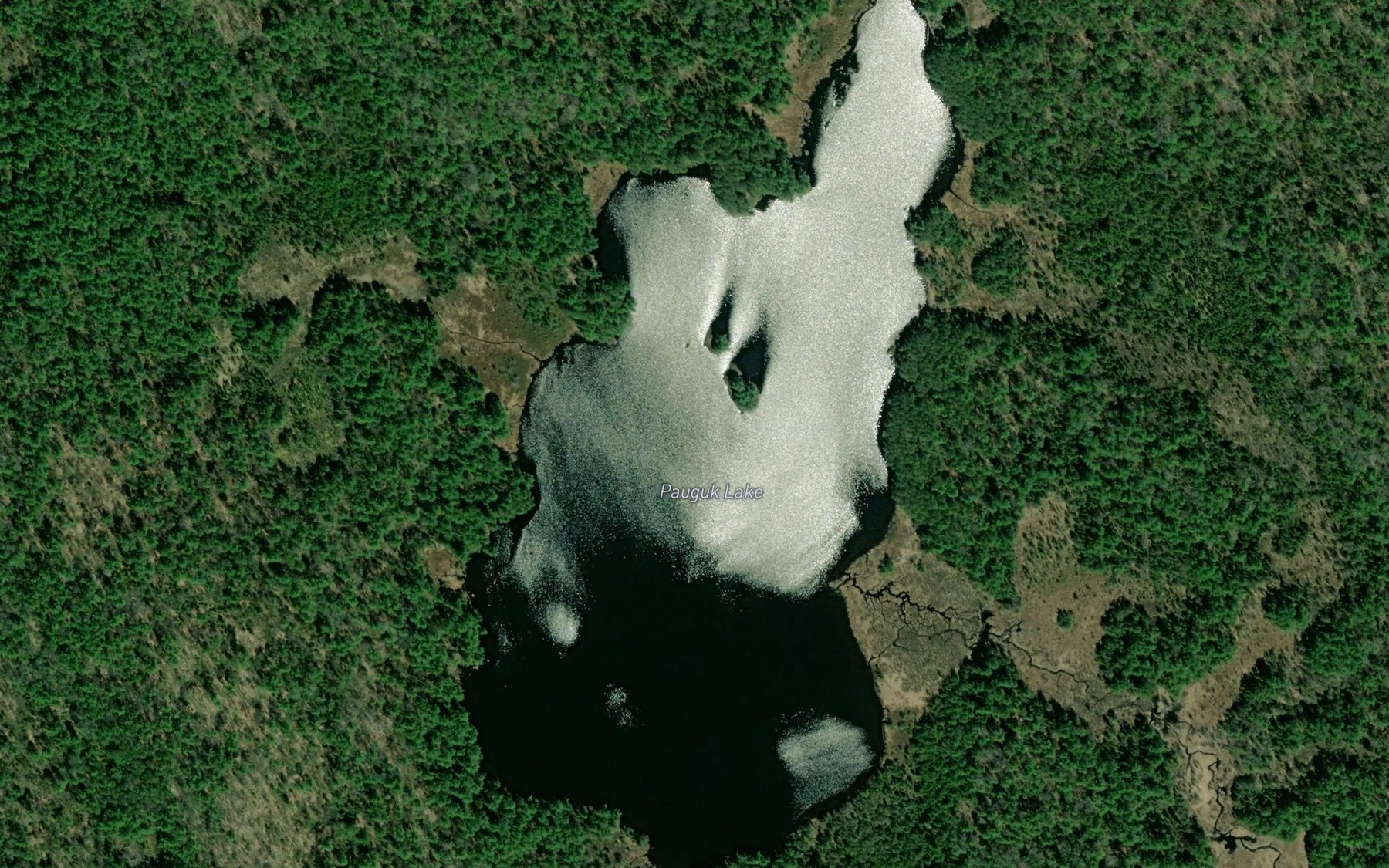 Satellite map of the Pauguk Lake