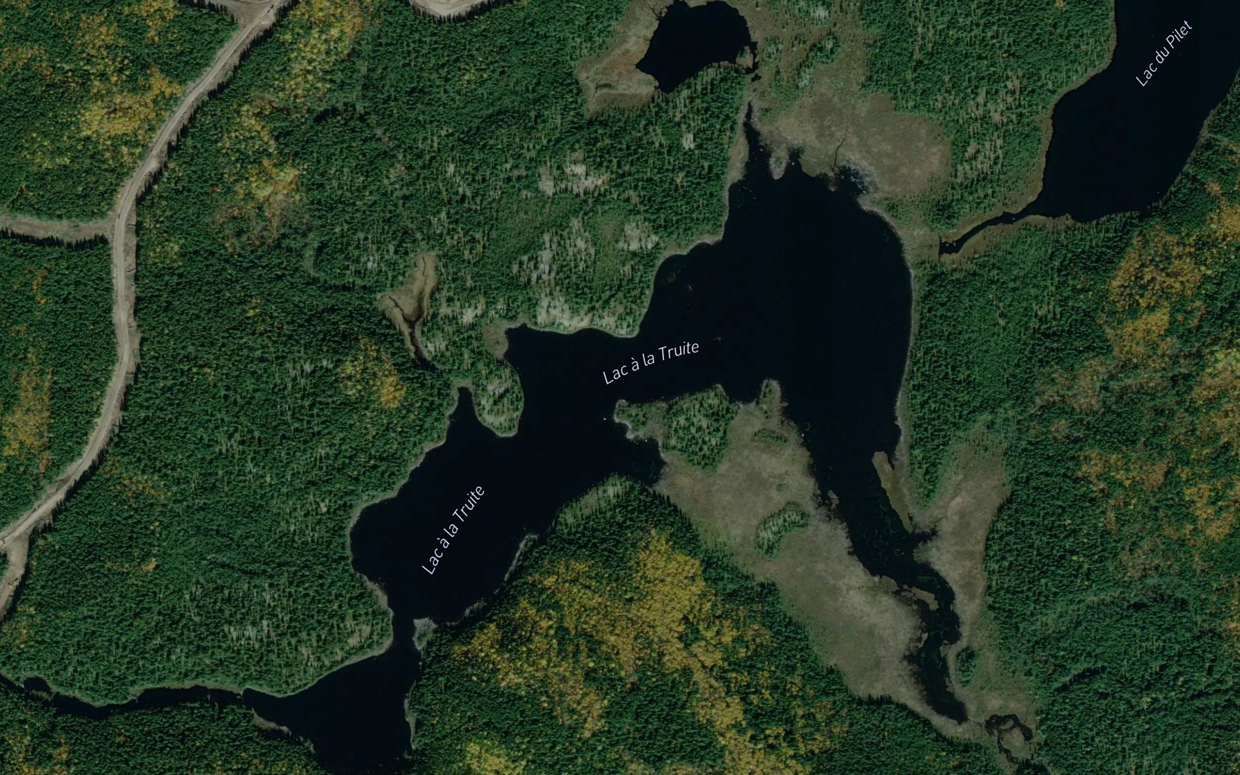 Satellite map of the Lac a la Truite