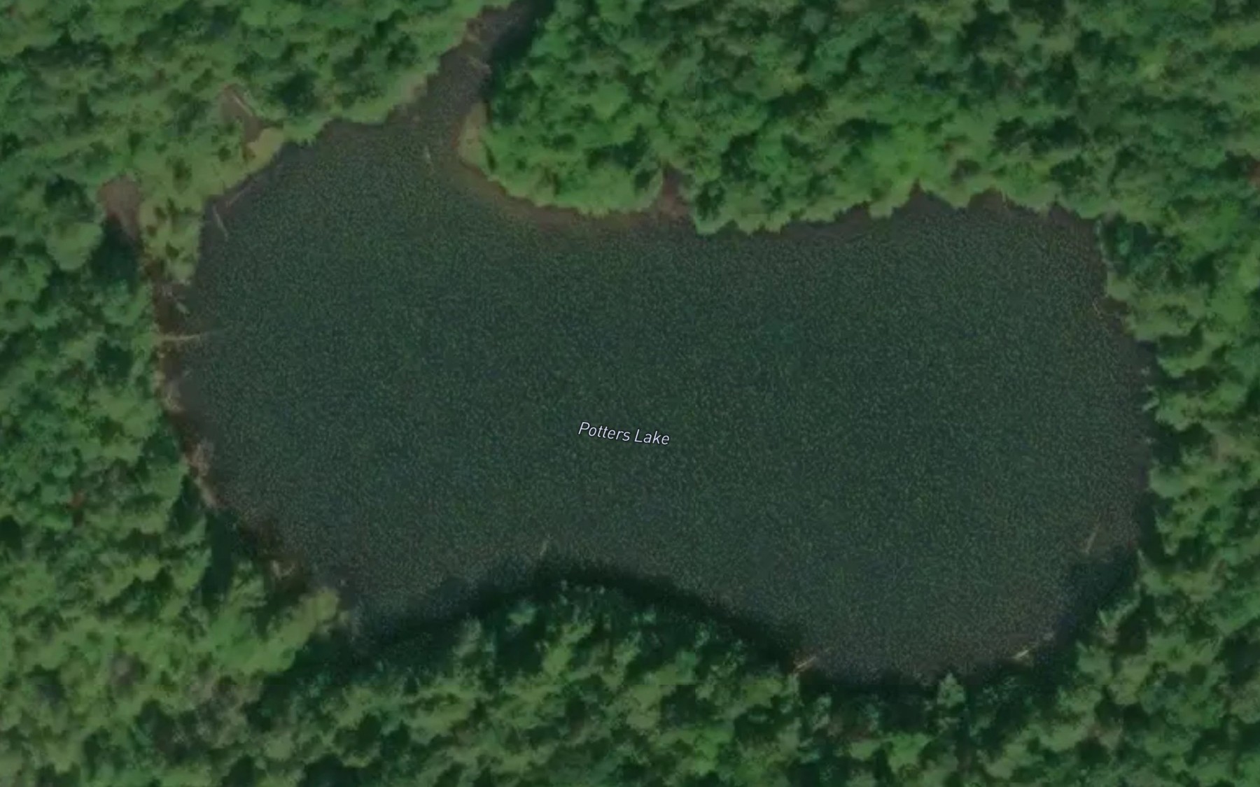 Satellite map of the Potters Lake