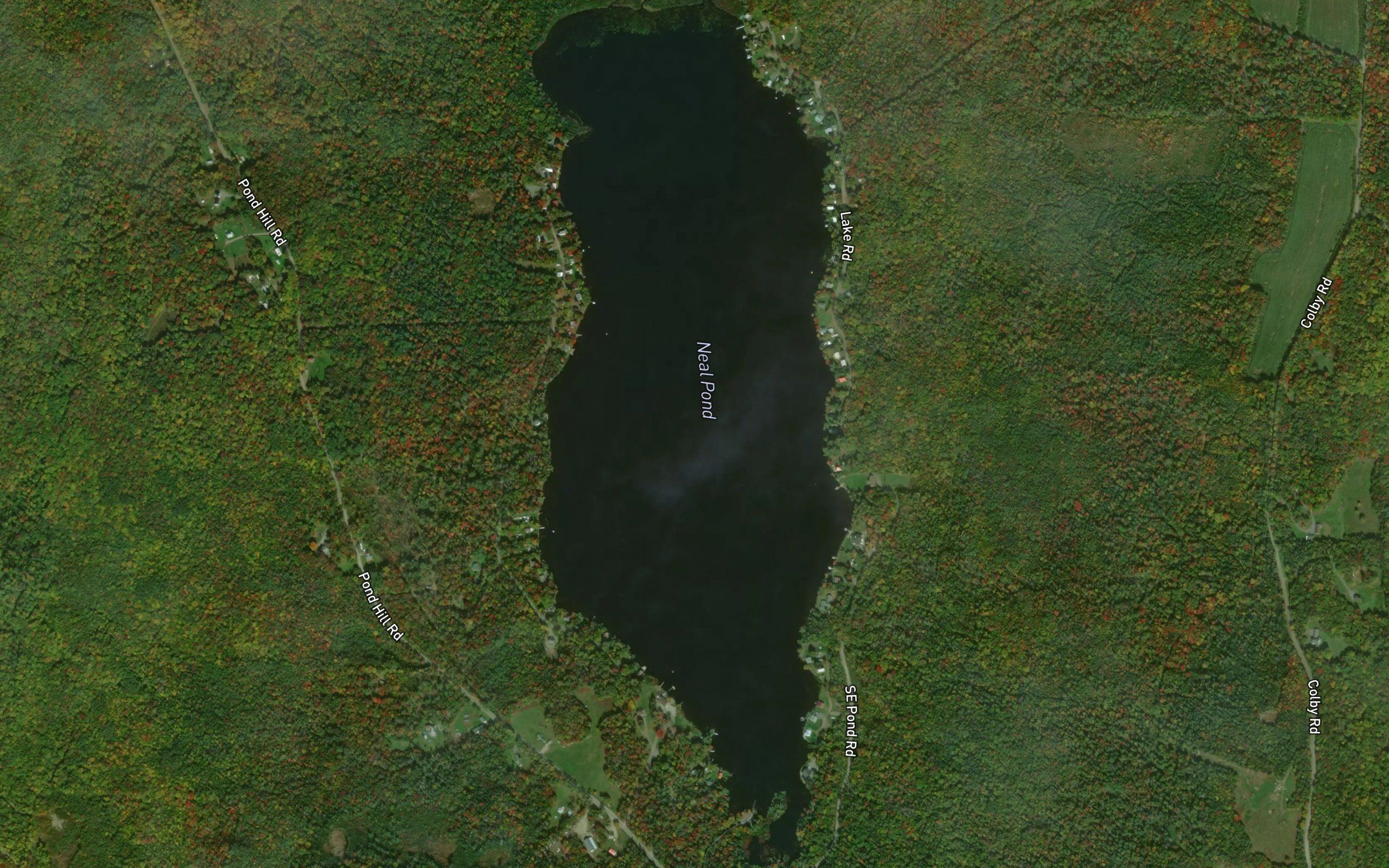 Neal Pond