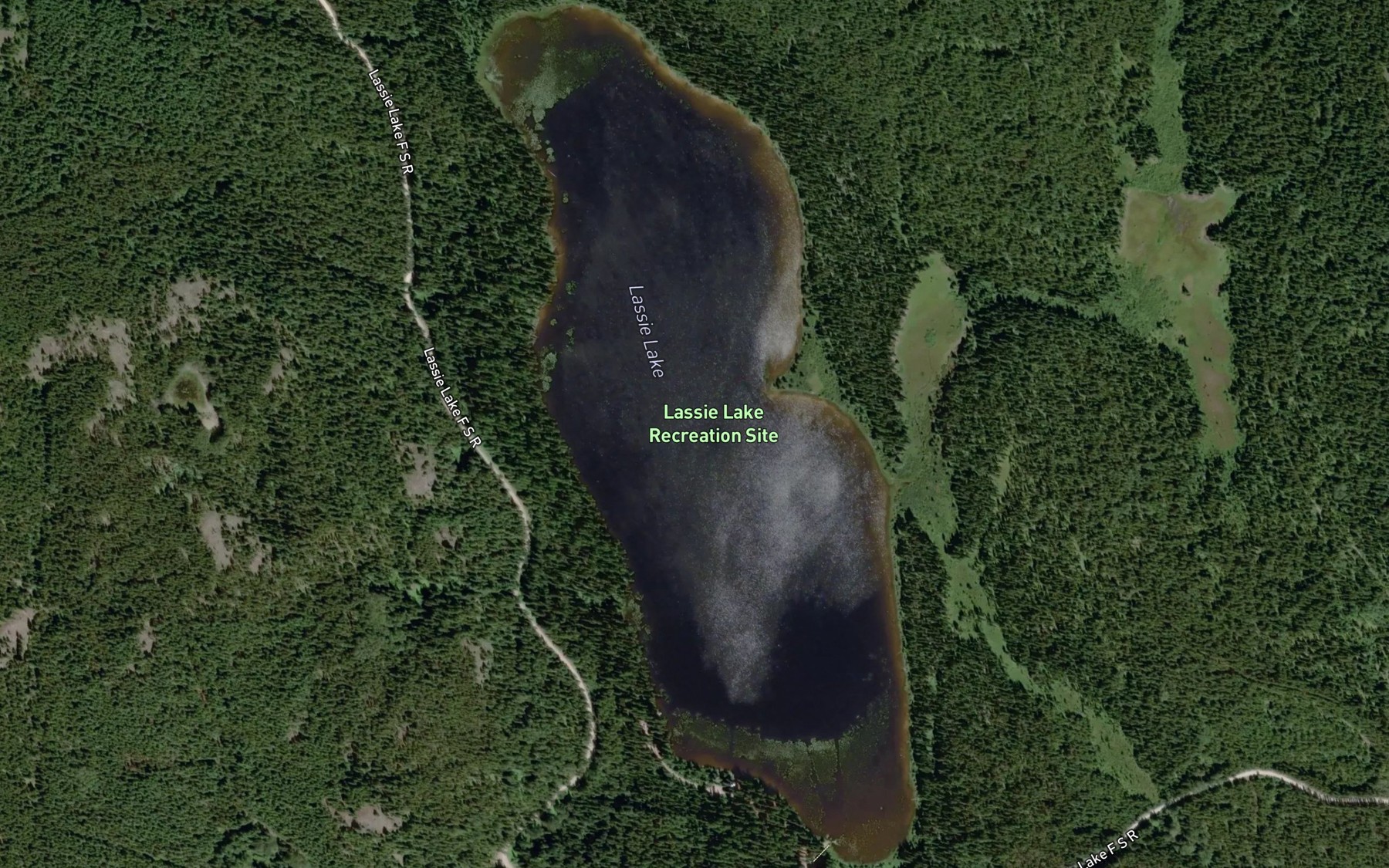 Satellite map of the Lassie Lake