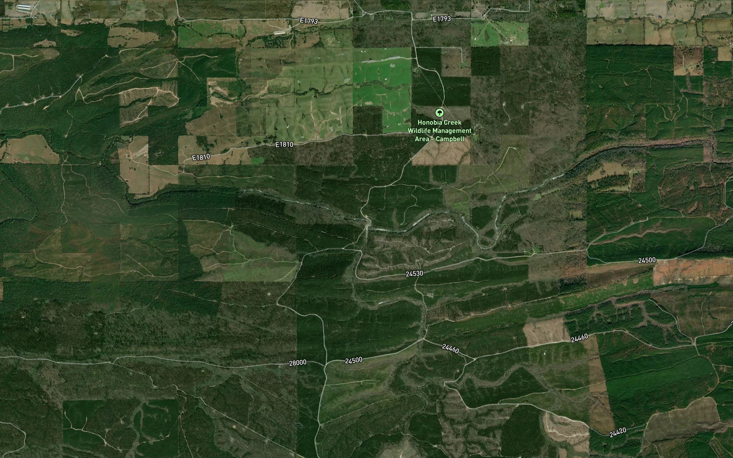 Mine Creek