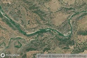 Bee Creek