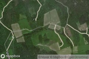 Mustaoja