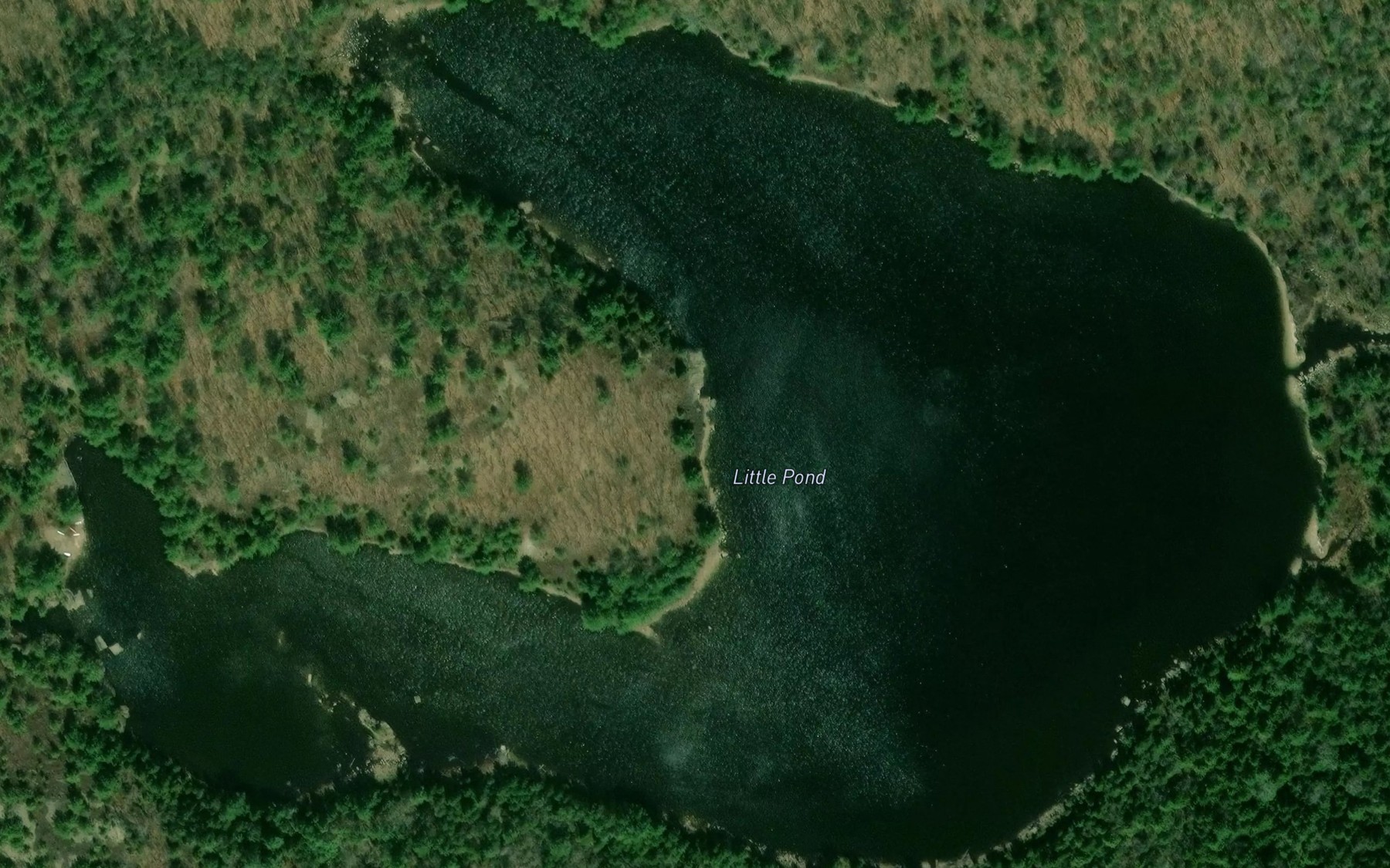 Little Pond Fishing near Franklin, ME | Fishbox
