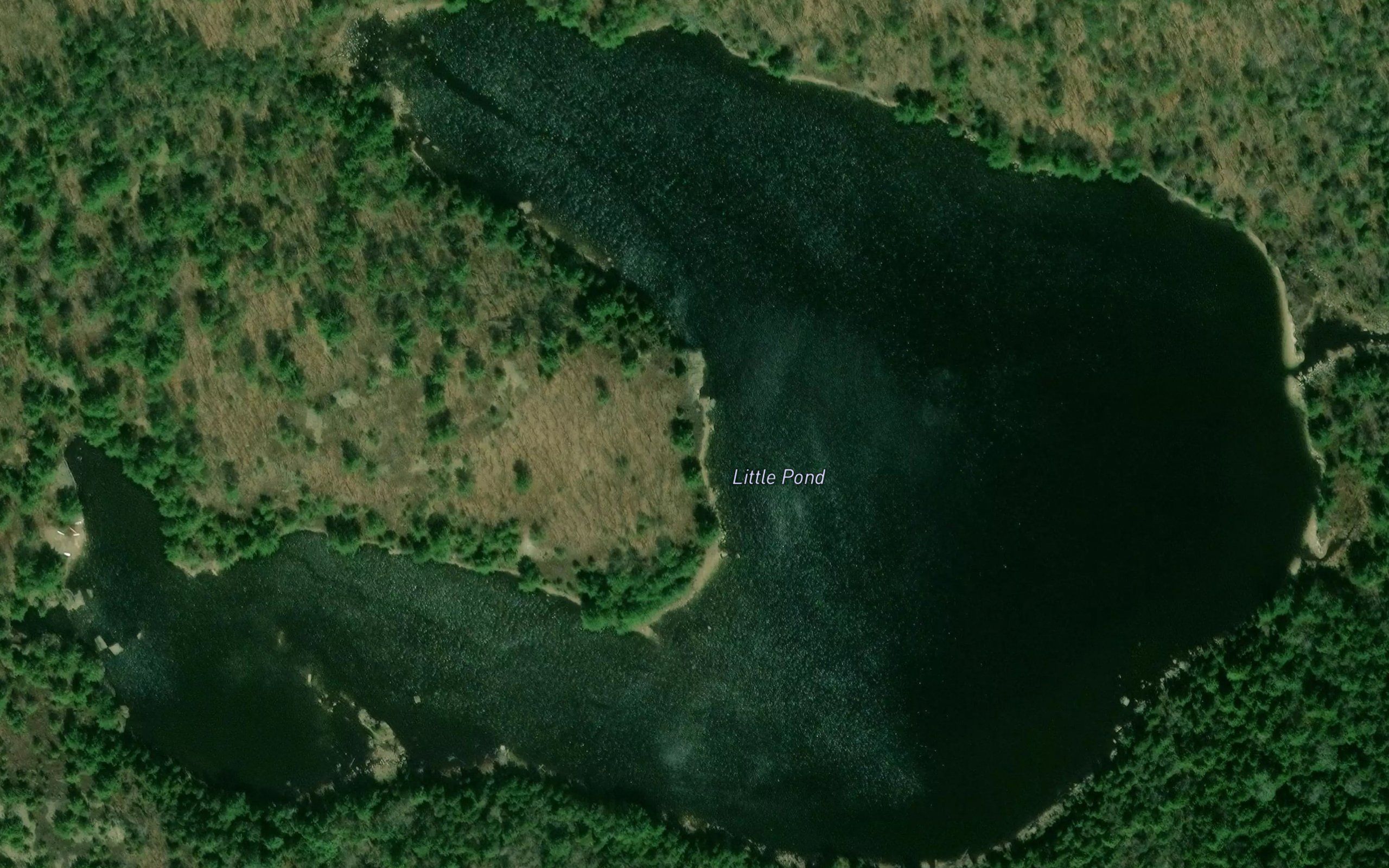 Little Pond