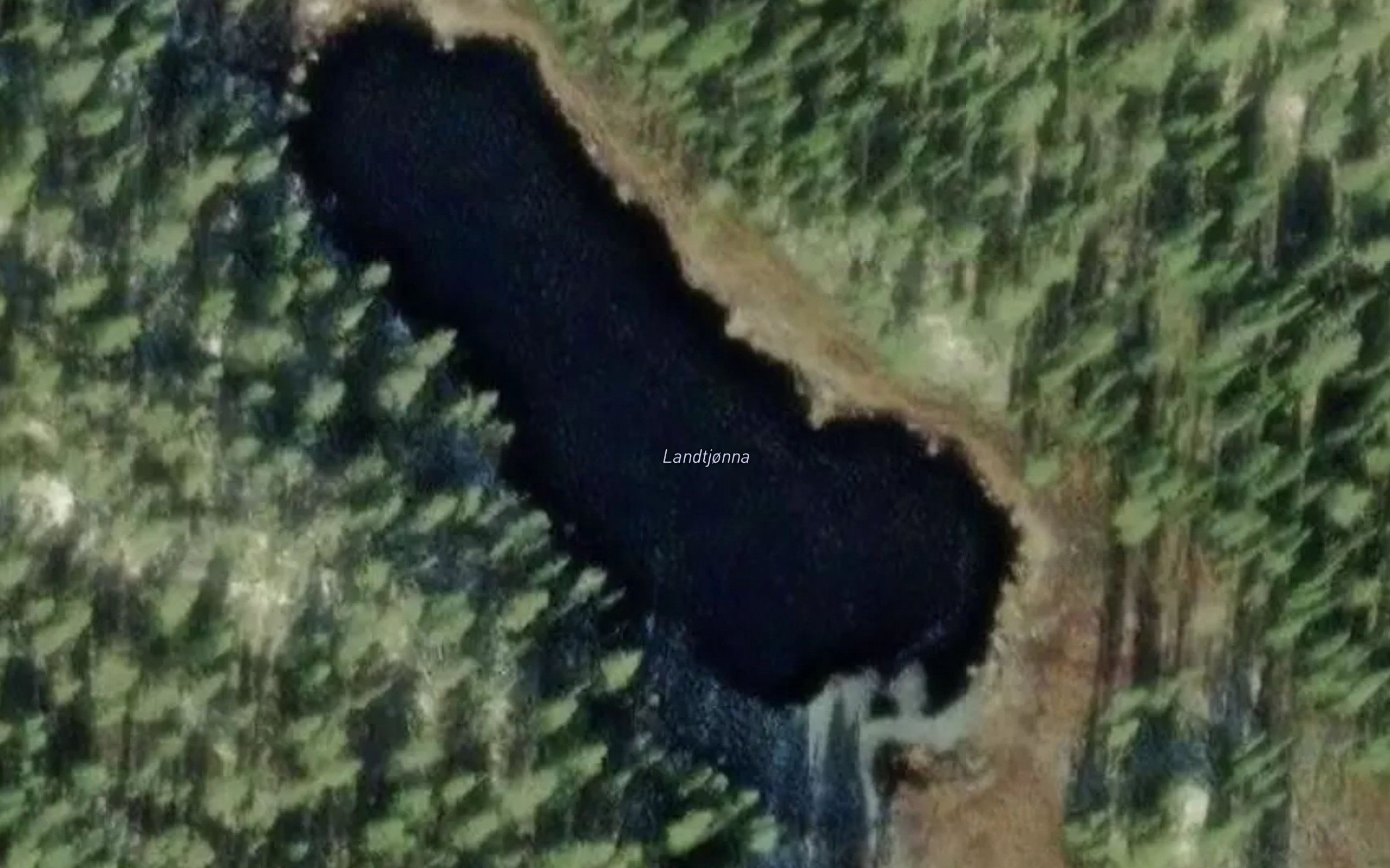 Landtjonna