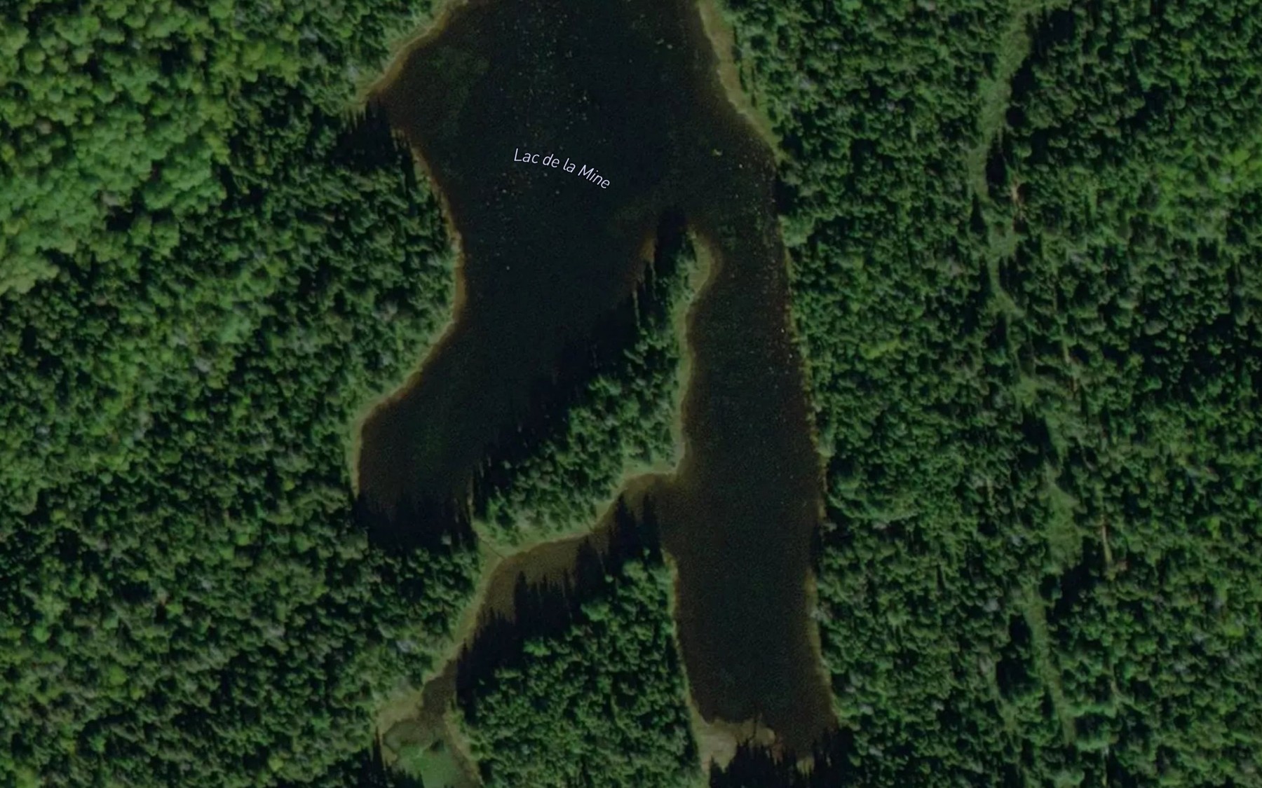 Satellite map of the Lac de la Mine