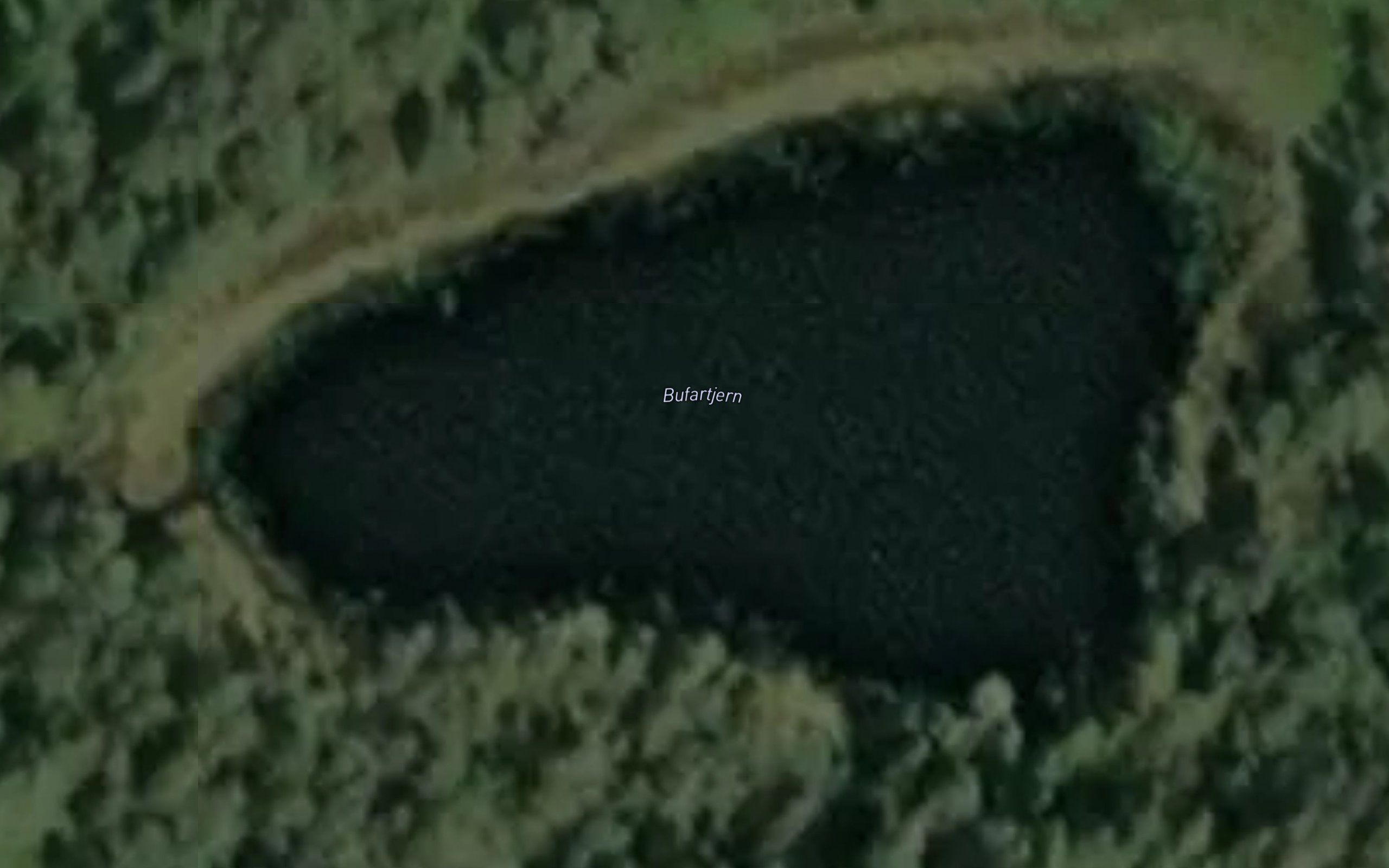 Bofartjern