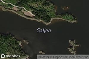 Saljen