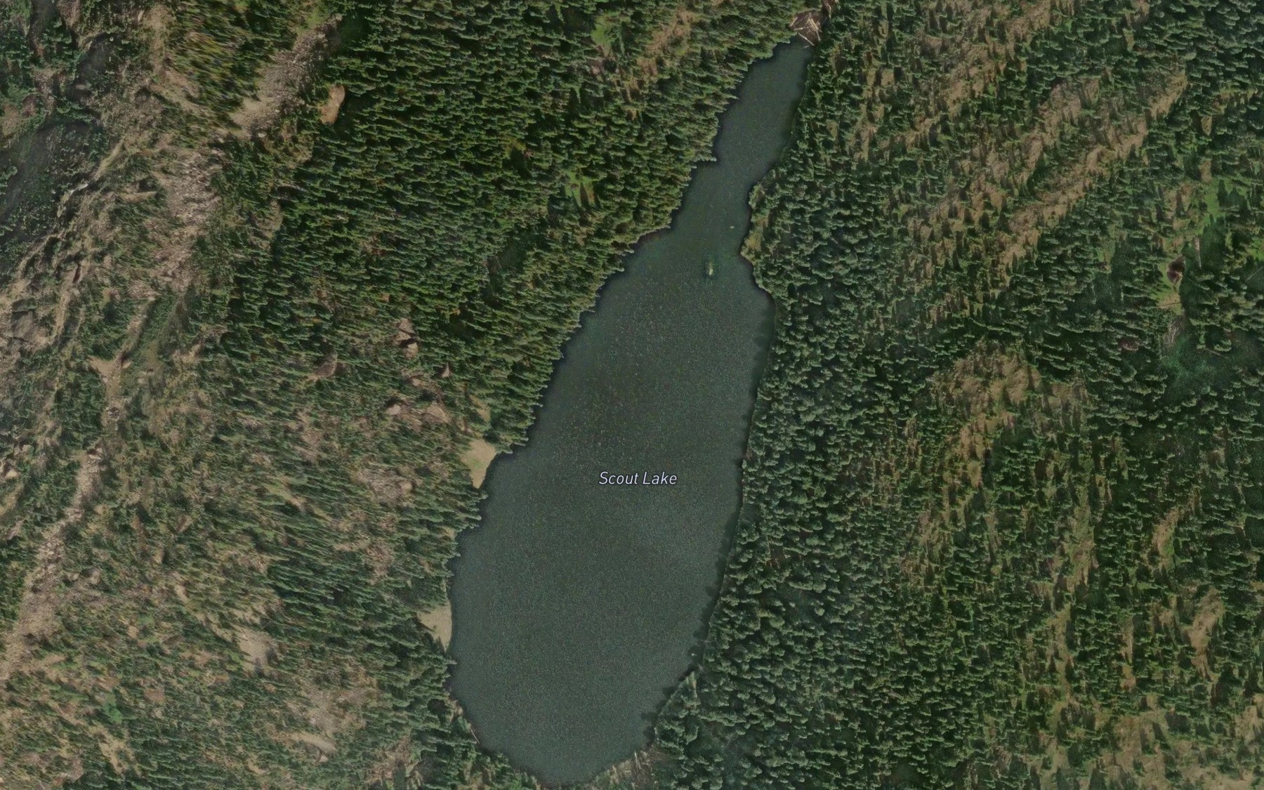 Satellite map of the Scout Lake