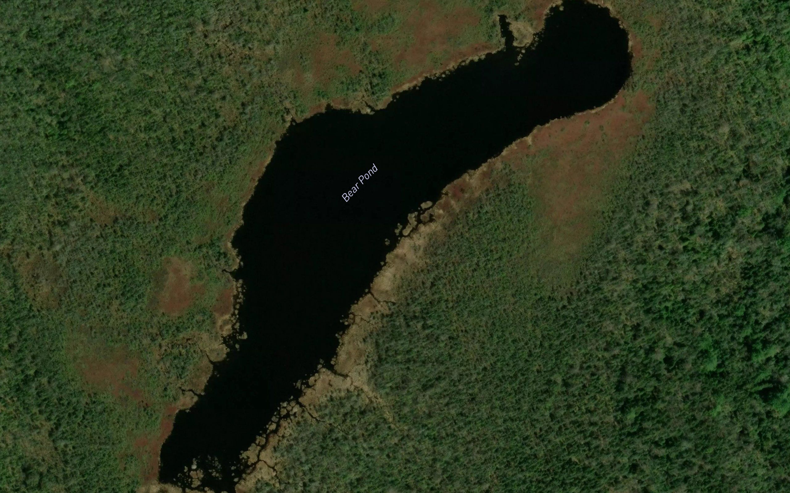Bear Pond