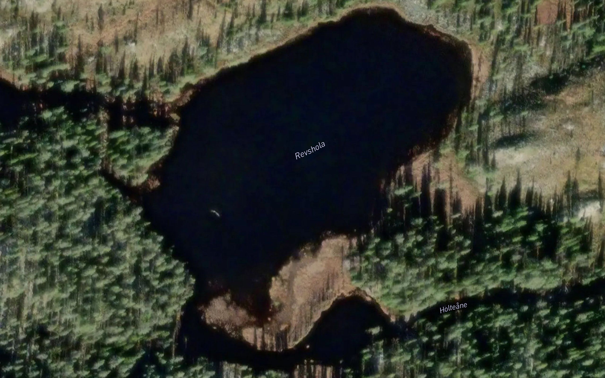 Revsholtjern