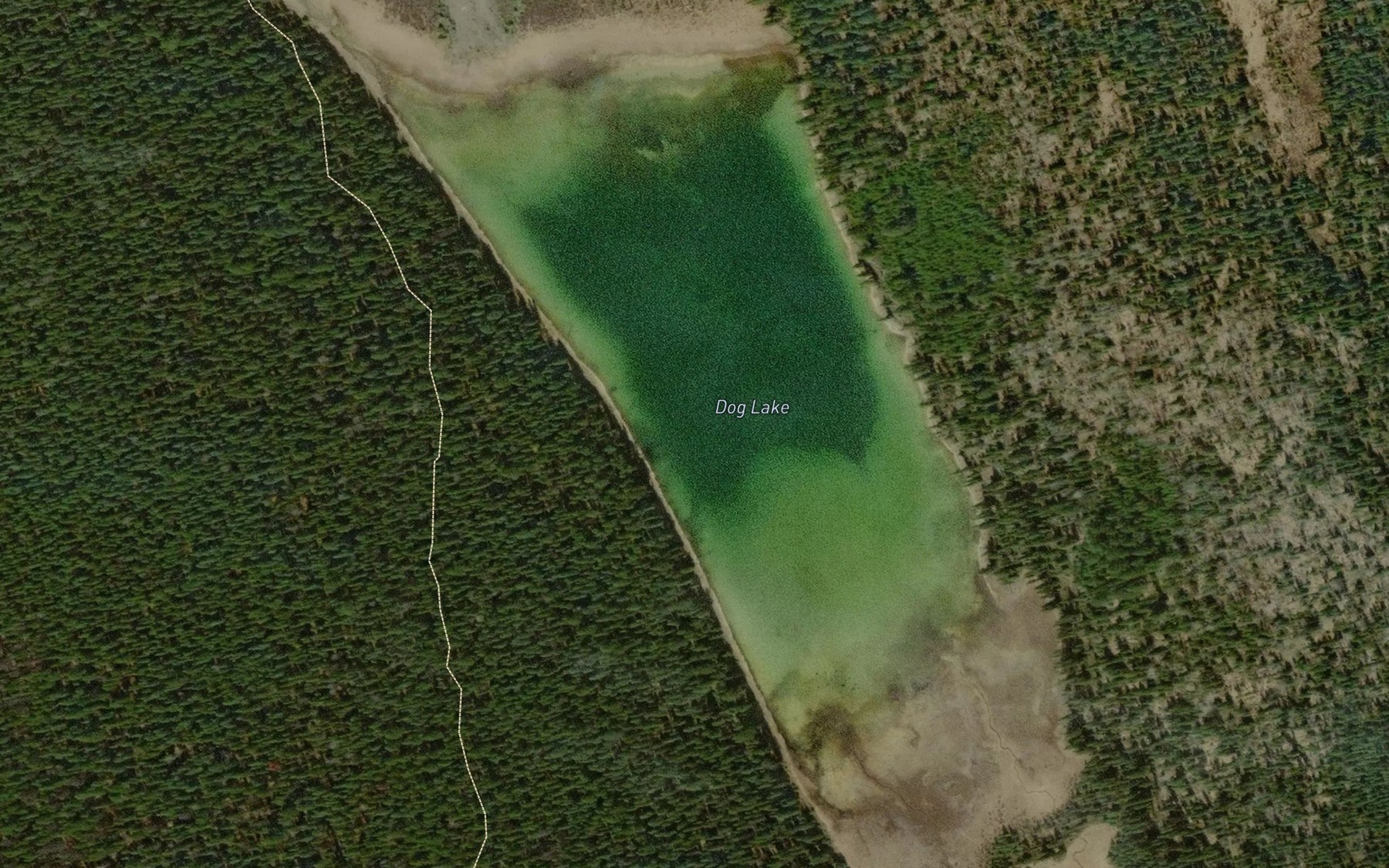Satellite map of the Dog Lake