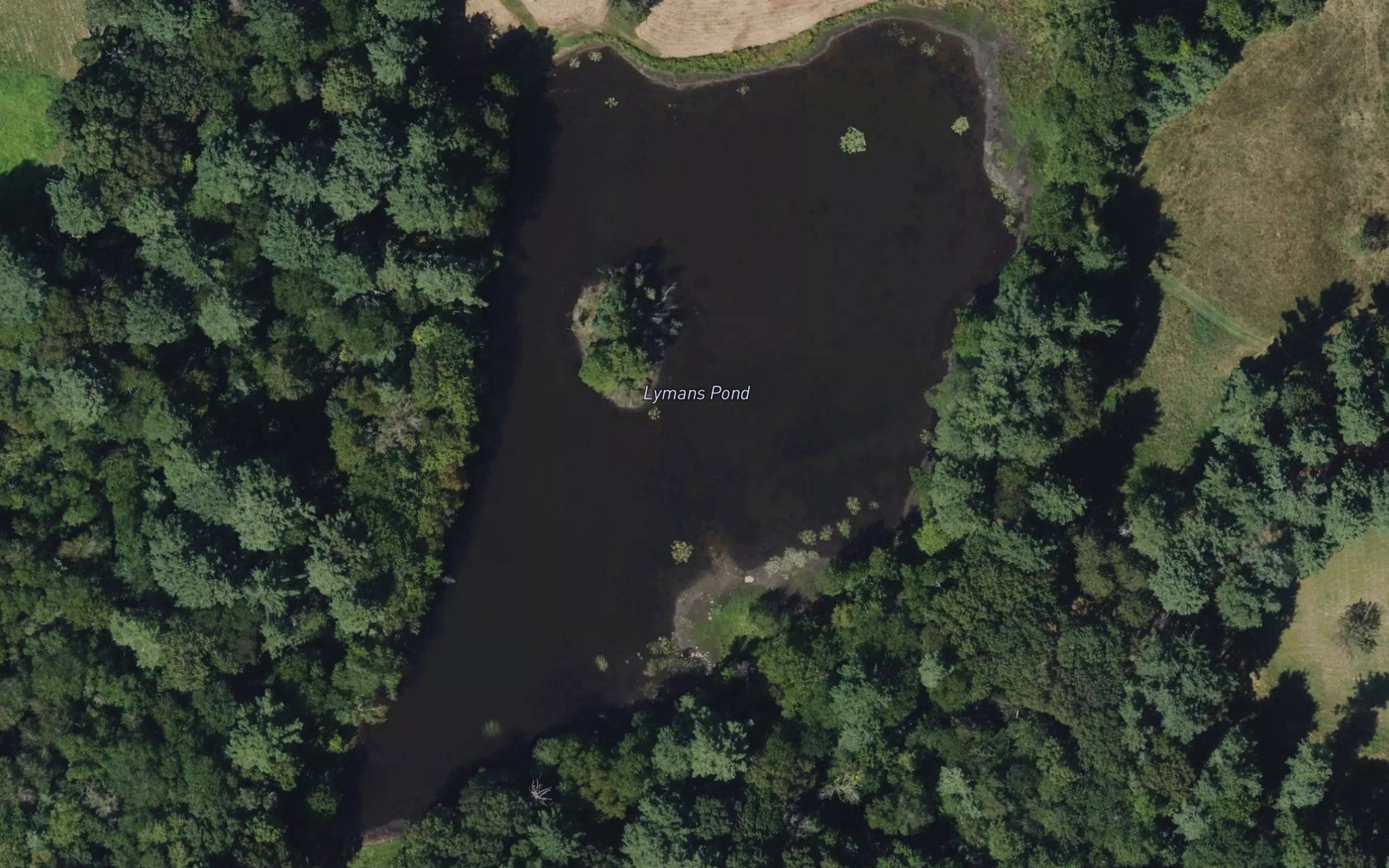 Lymans Pond