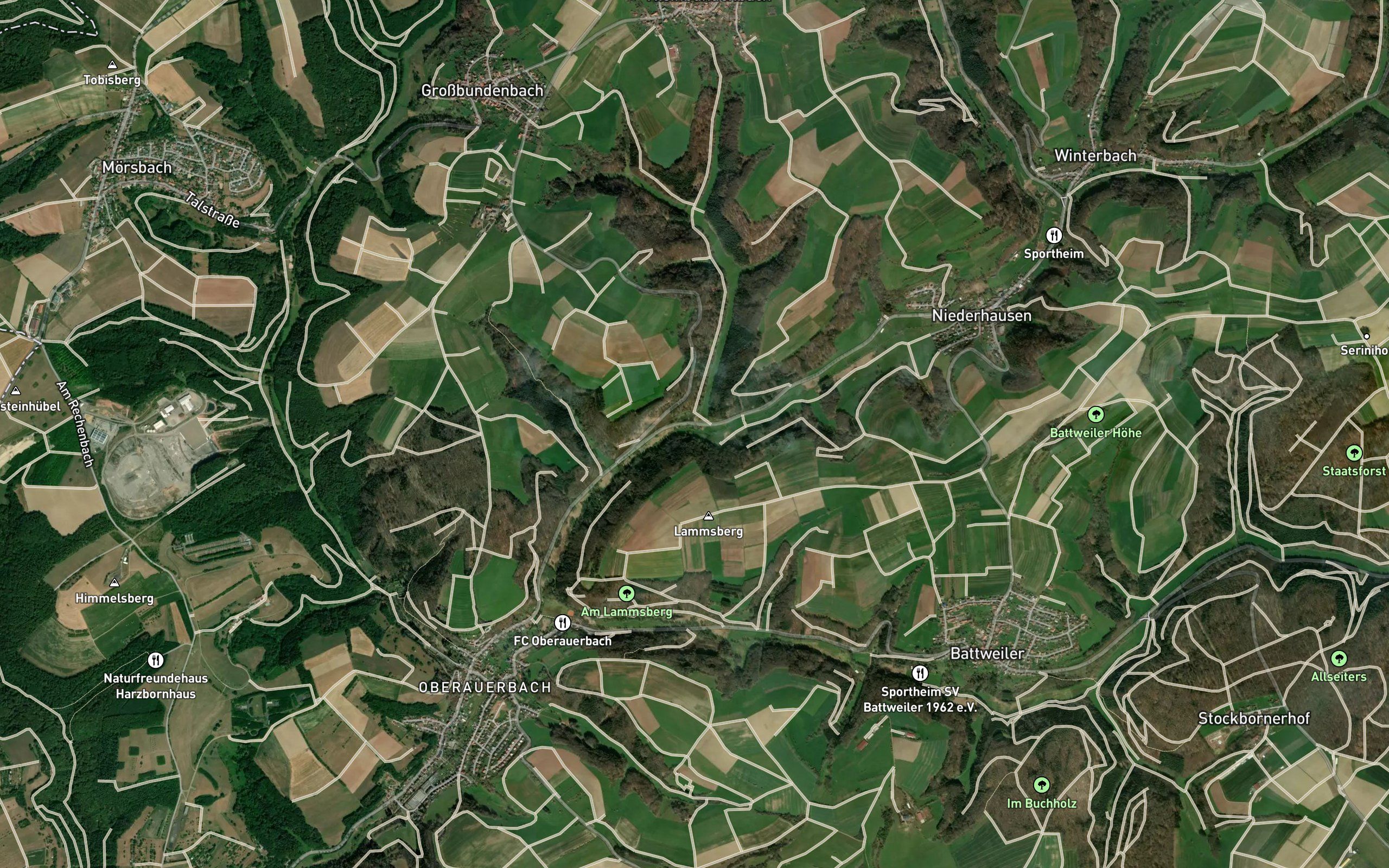 Wies Bach