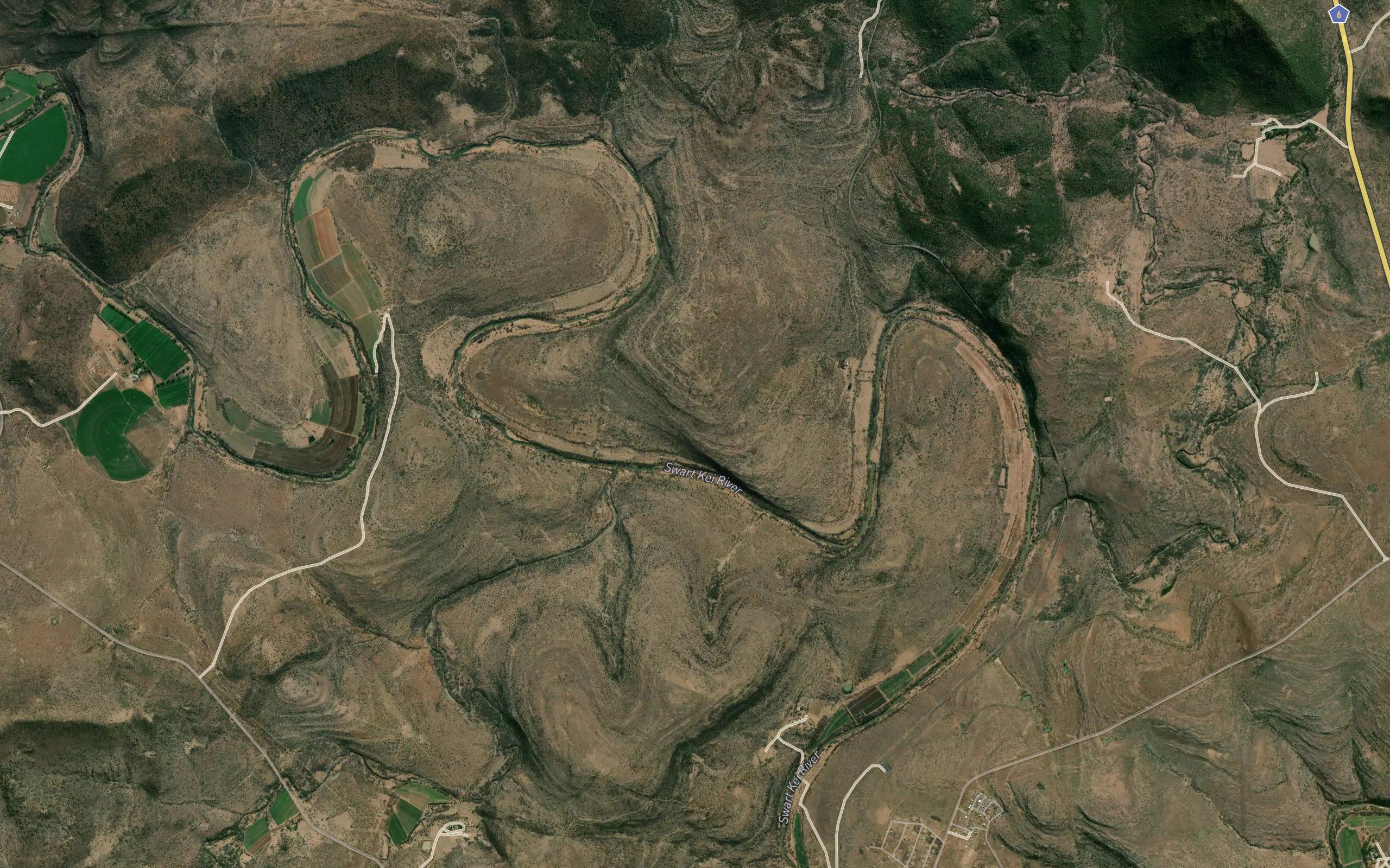 Lituli