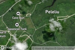 North Mangrove Swamp West