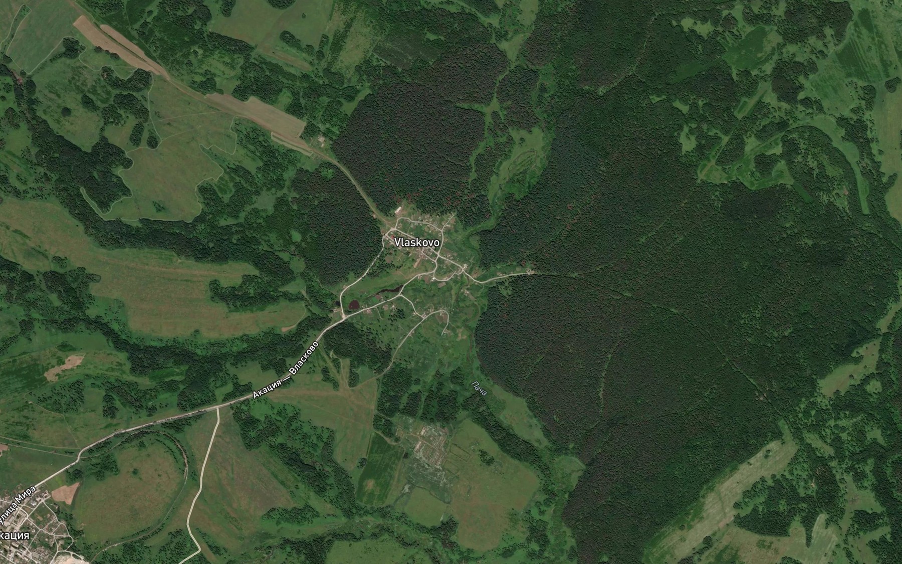 Satellite map of the Gryaznukha