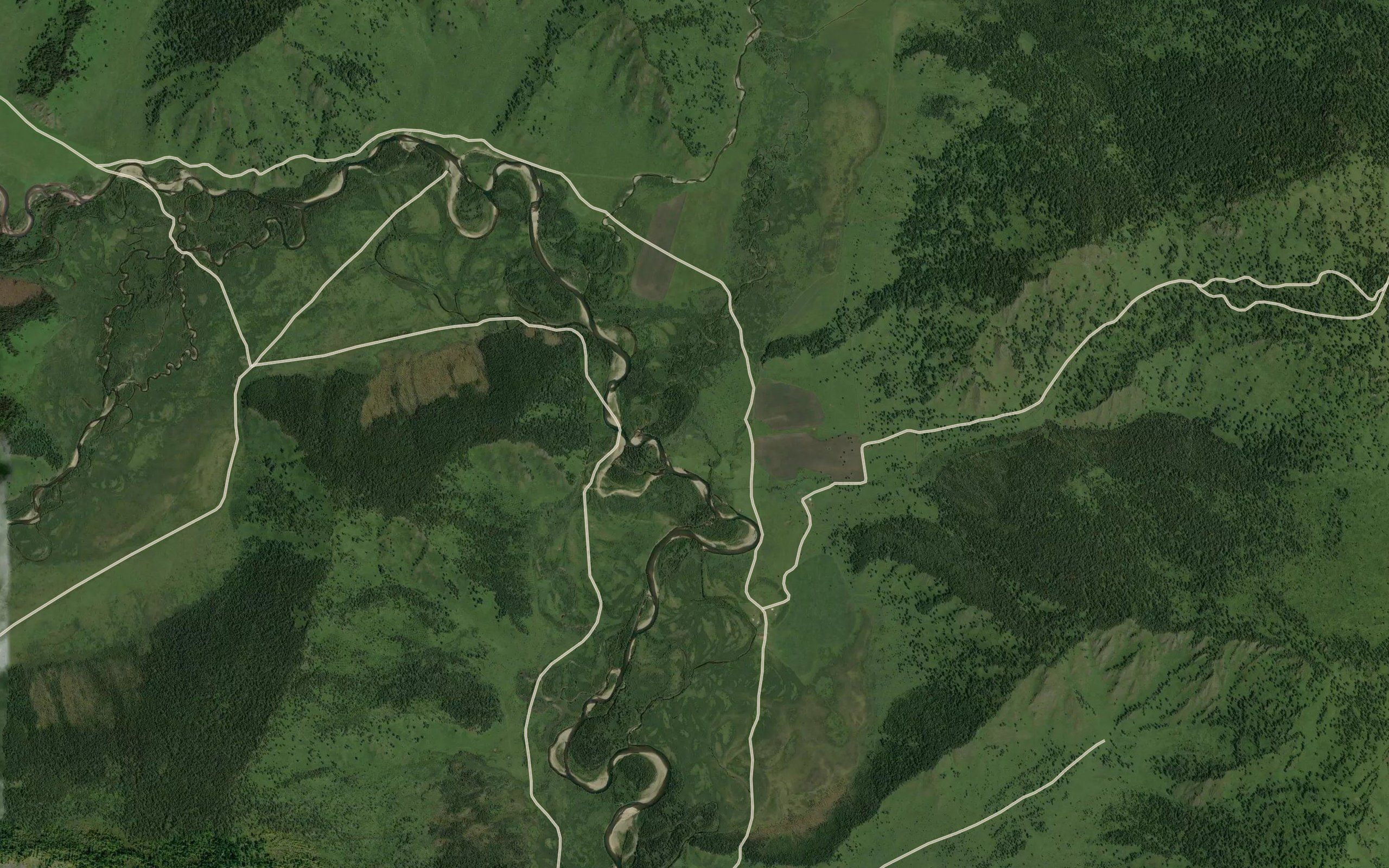 Tatarka