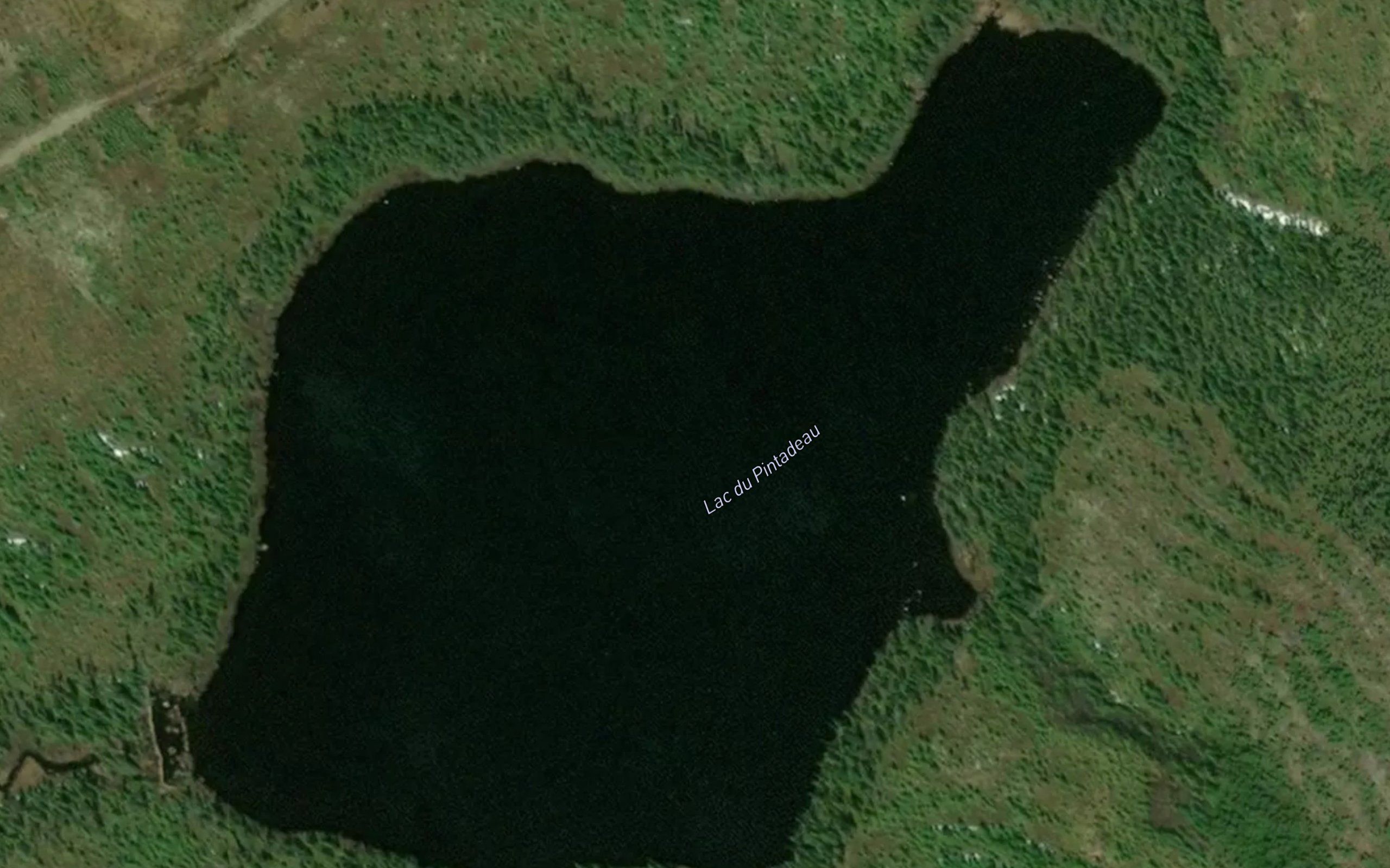 Lac du Pintadeau