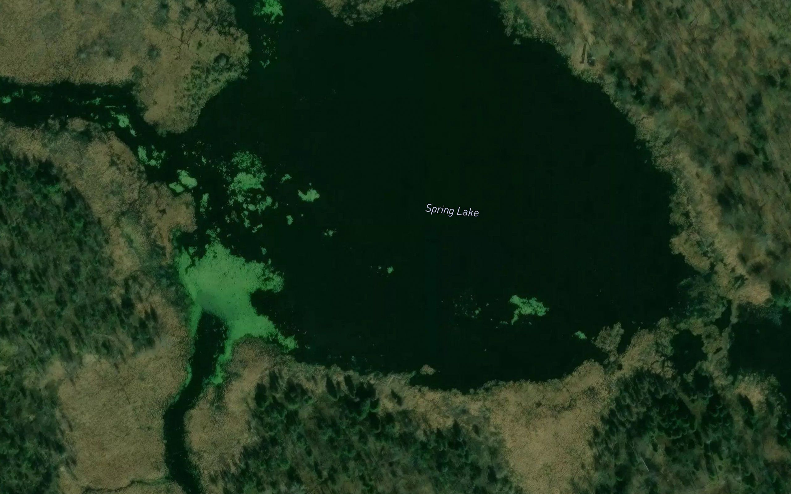 Spring Lake