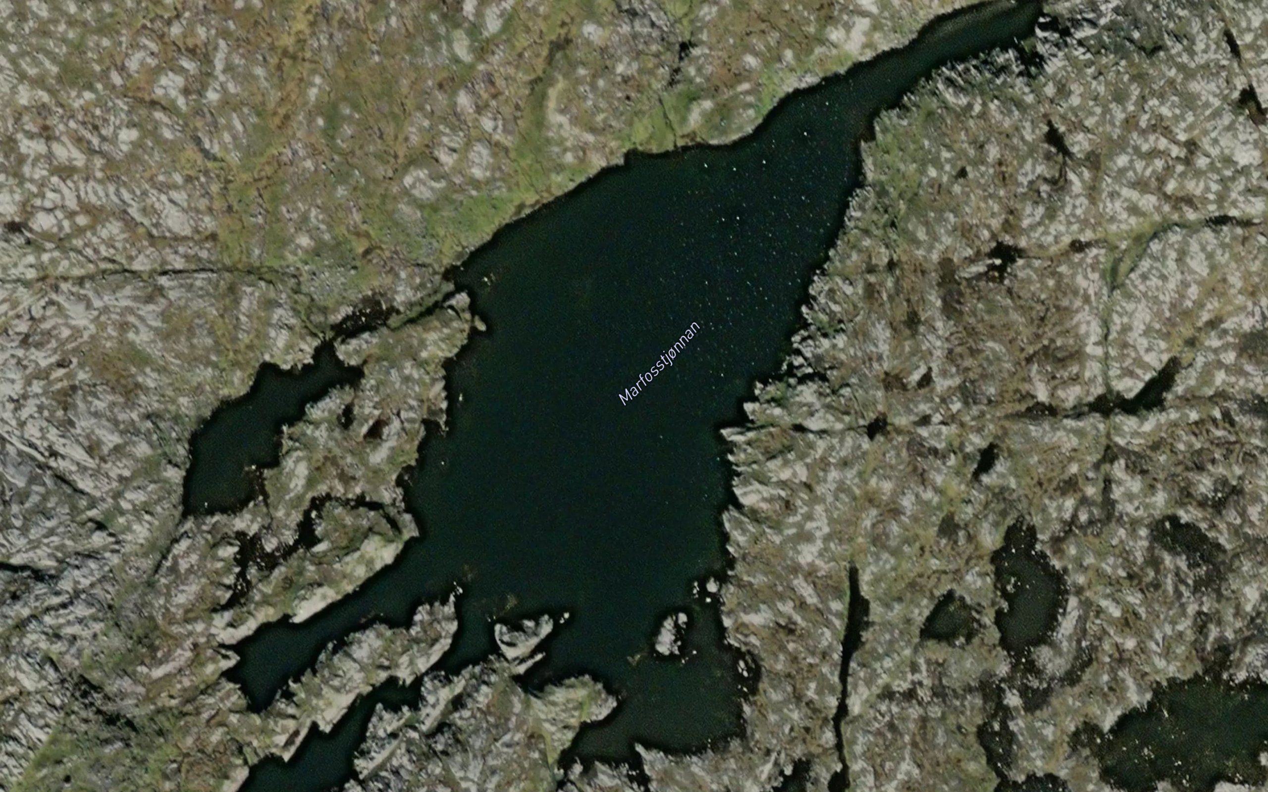 Marfosstjornan