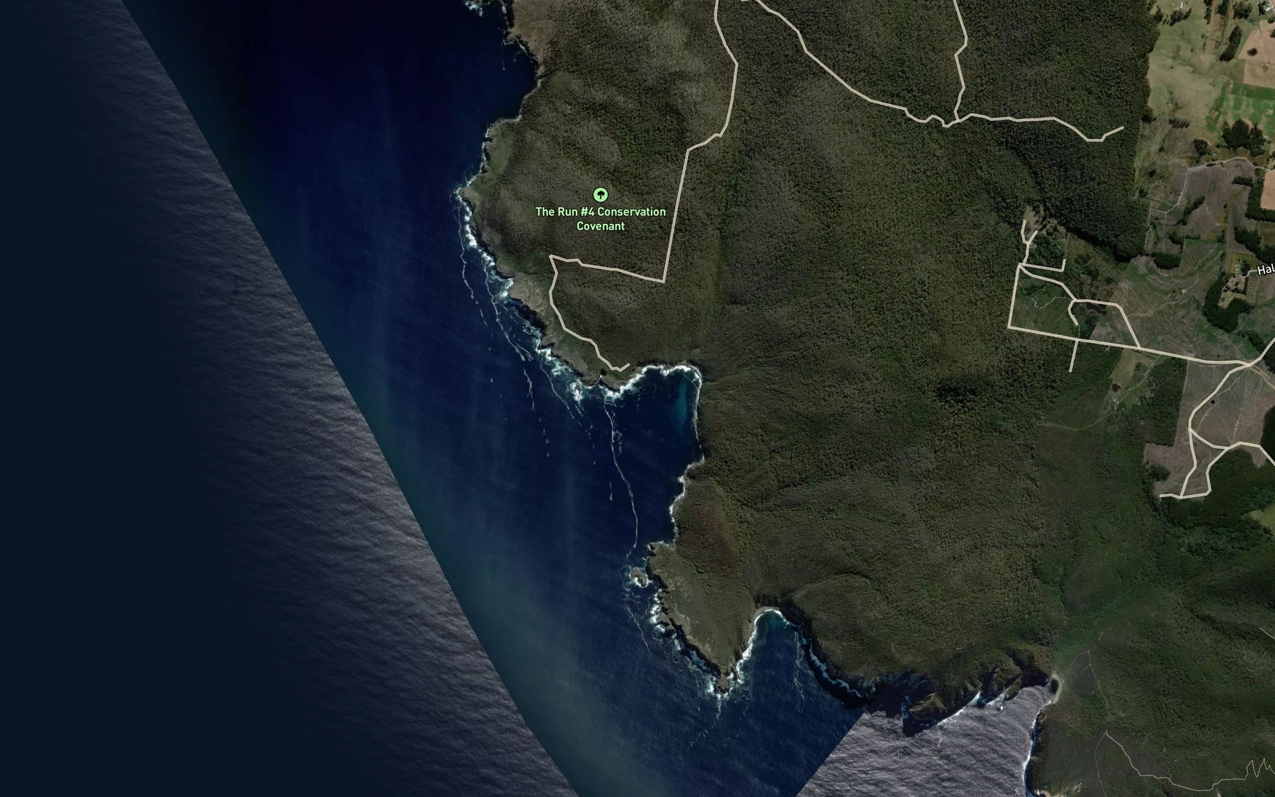 Satellite map of the Curio Bay