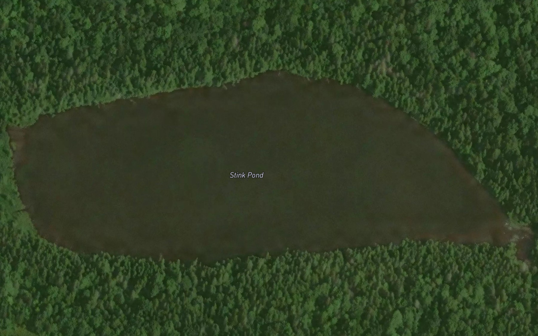 Satellite map of the Stink Pond