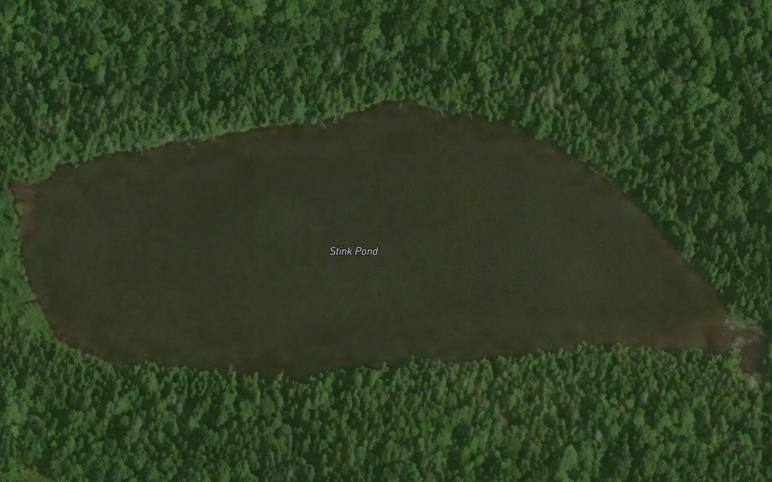 Stink Pond