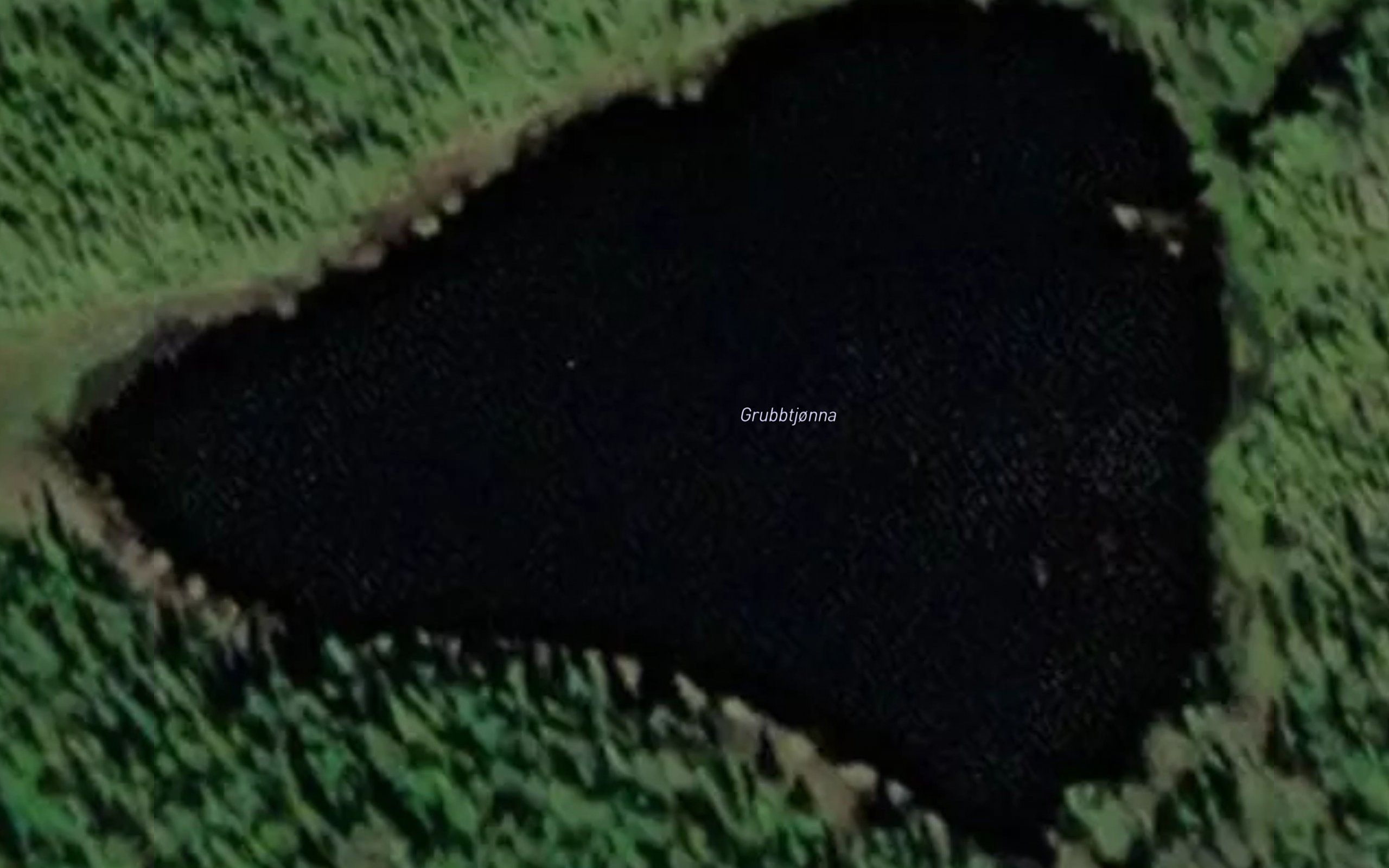 Grubbtjorna