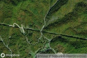 Left Fork Partridge Creek