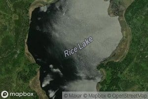 Rice Lake