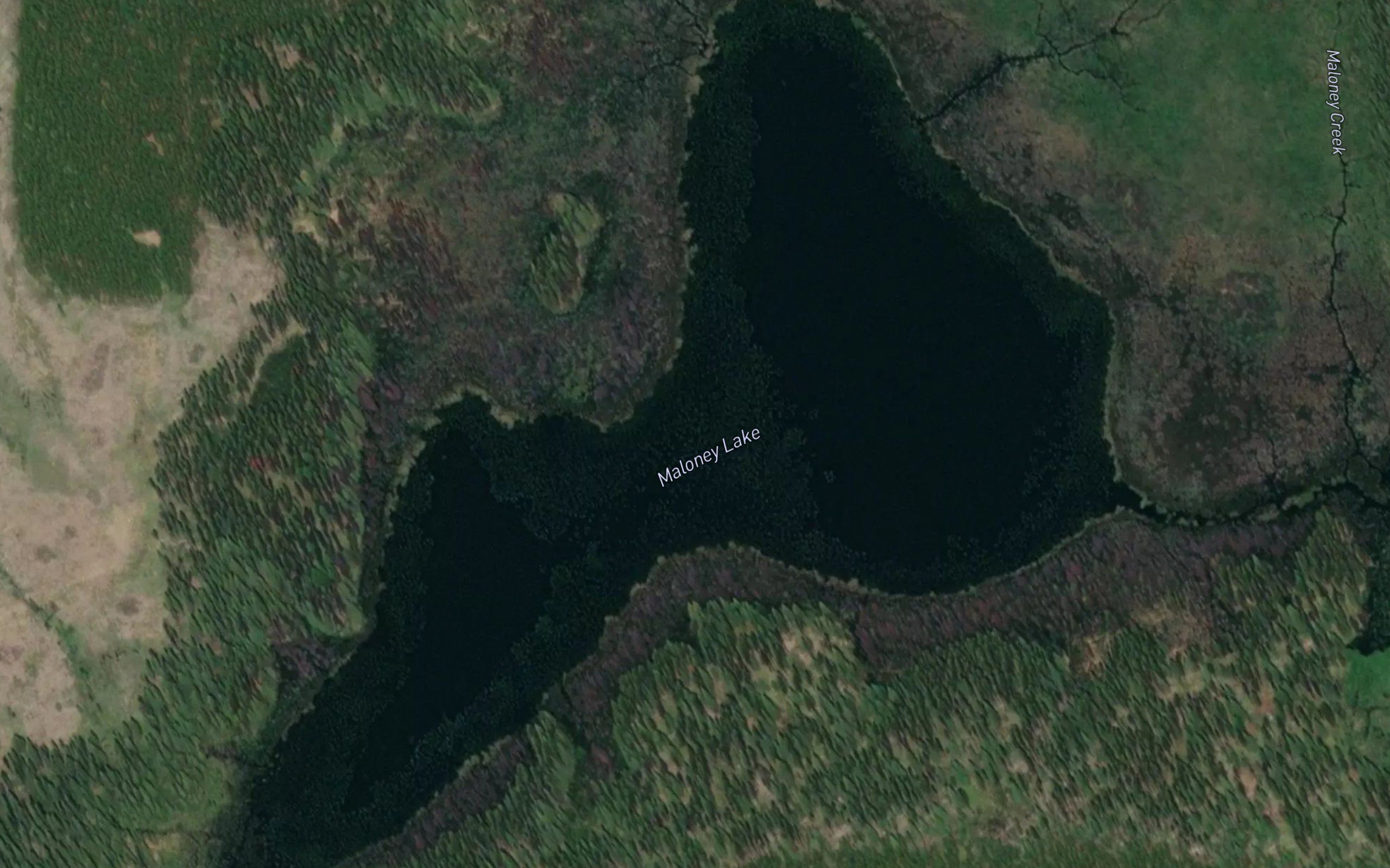 Maloney Lake
