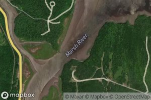 Satellite map of the South Branch Marsh River