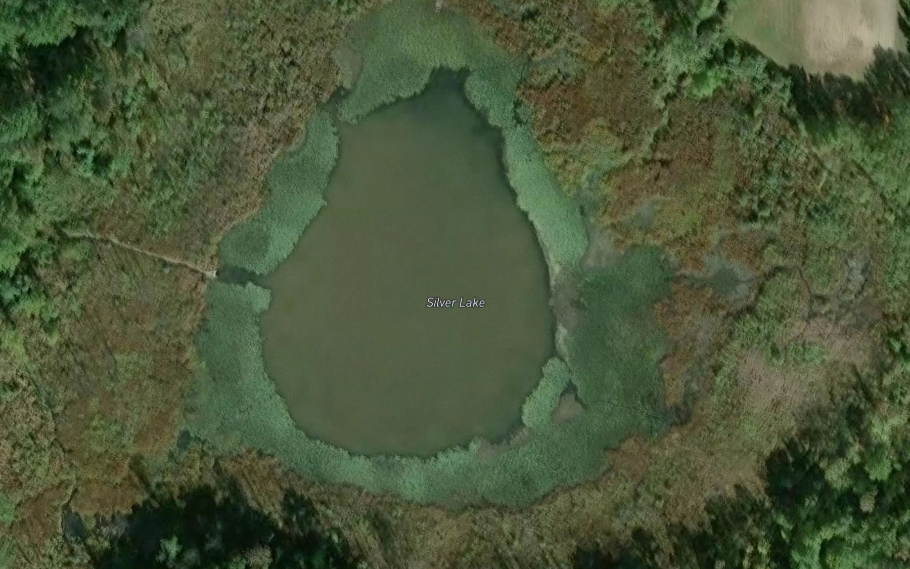 Satellite map of the Silver Lake