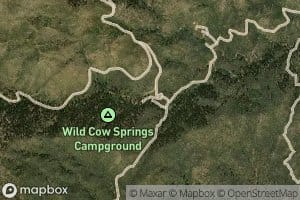 New Years Cabin Spring