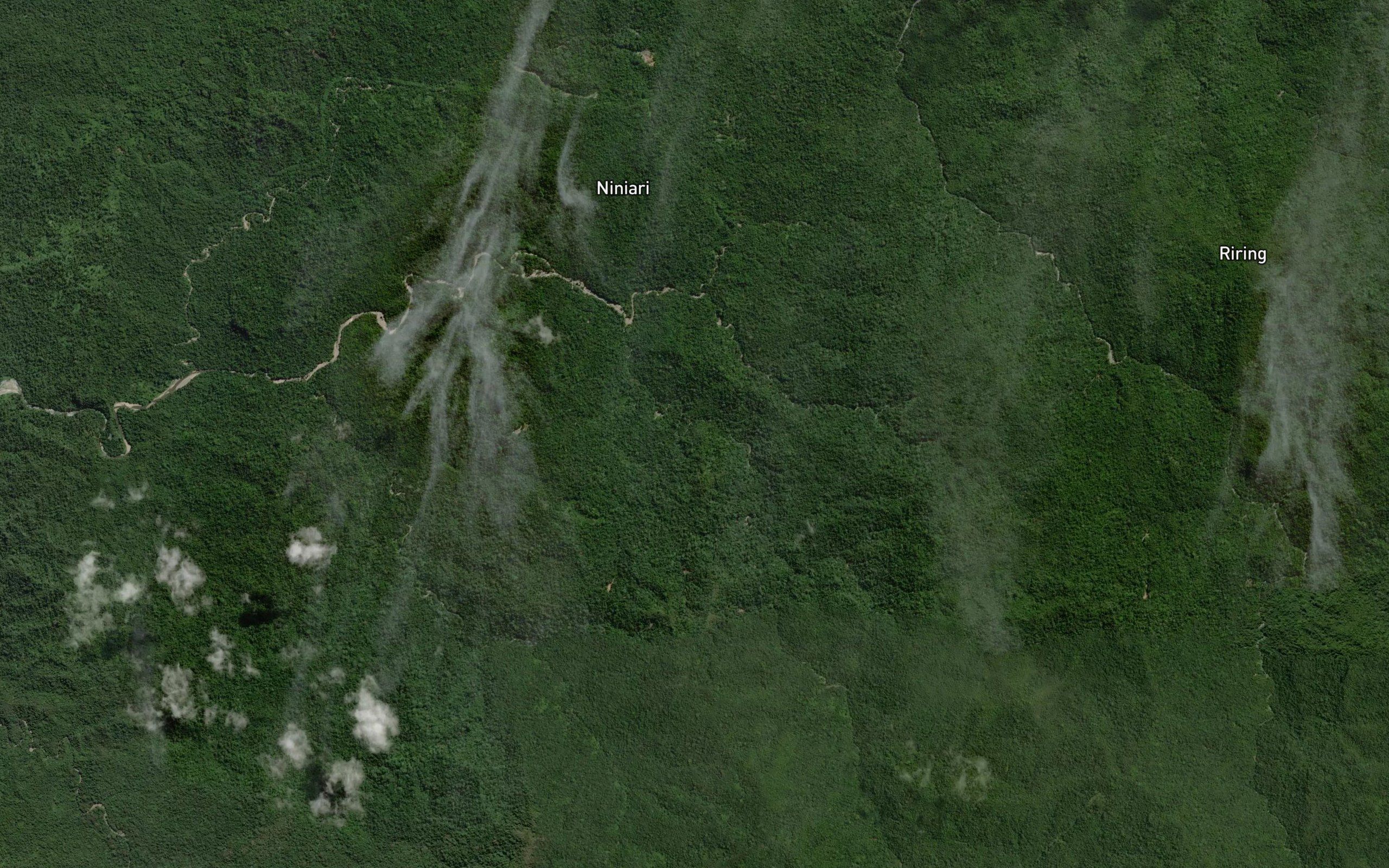 Wai Taniki