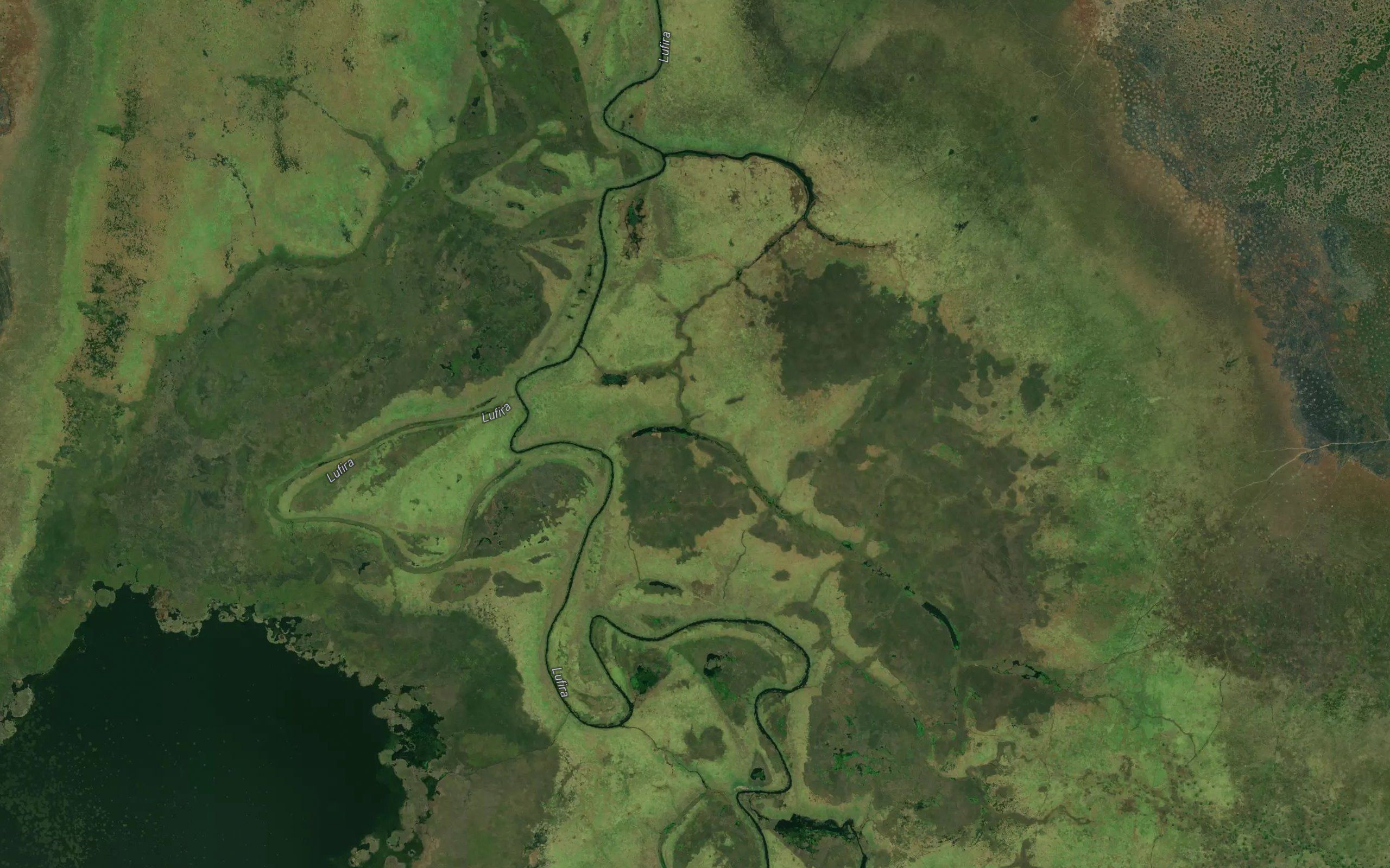 Kasamba