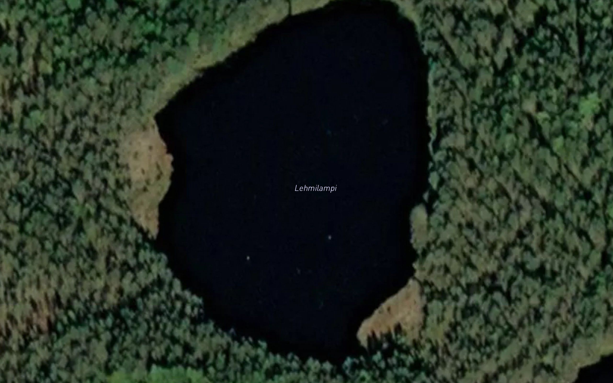Lehmilampi