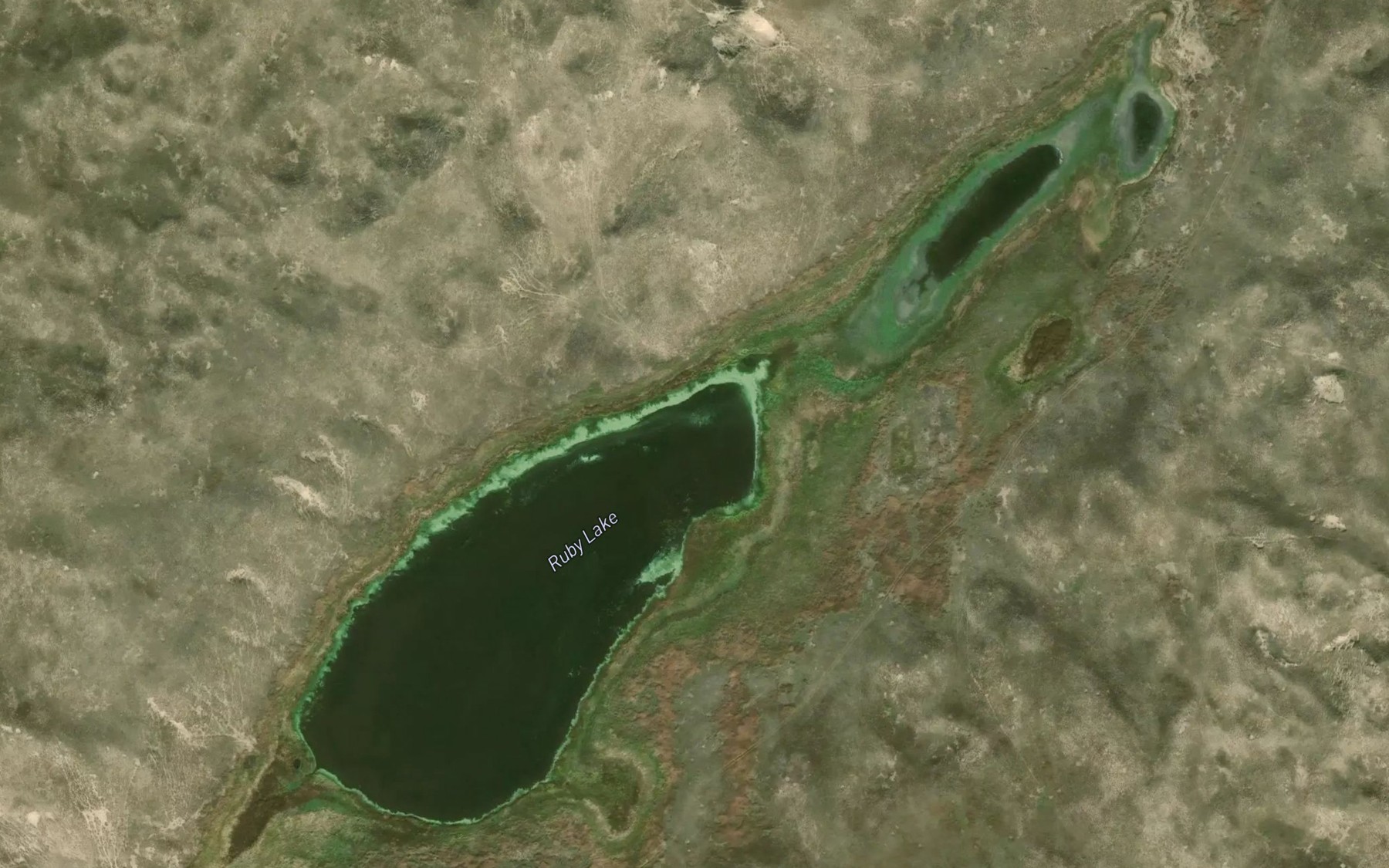 Satellite map of the Ruby Lake
