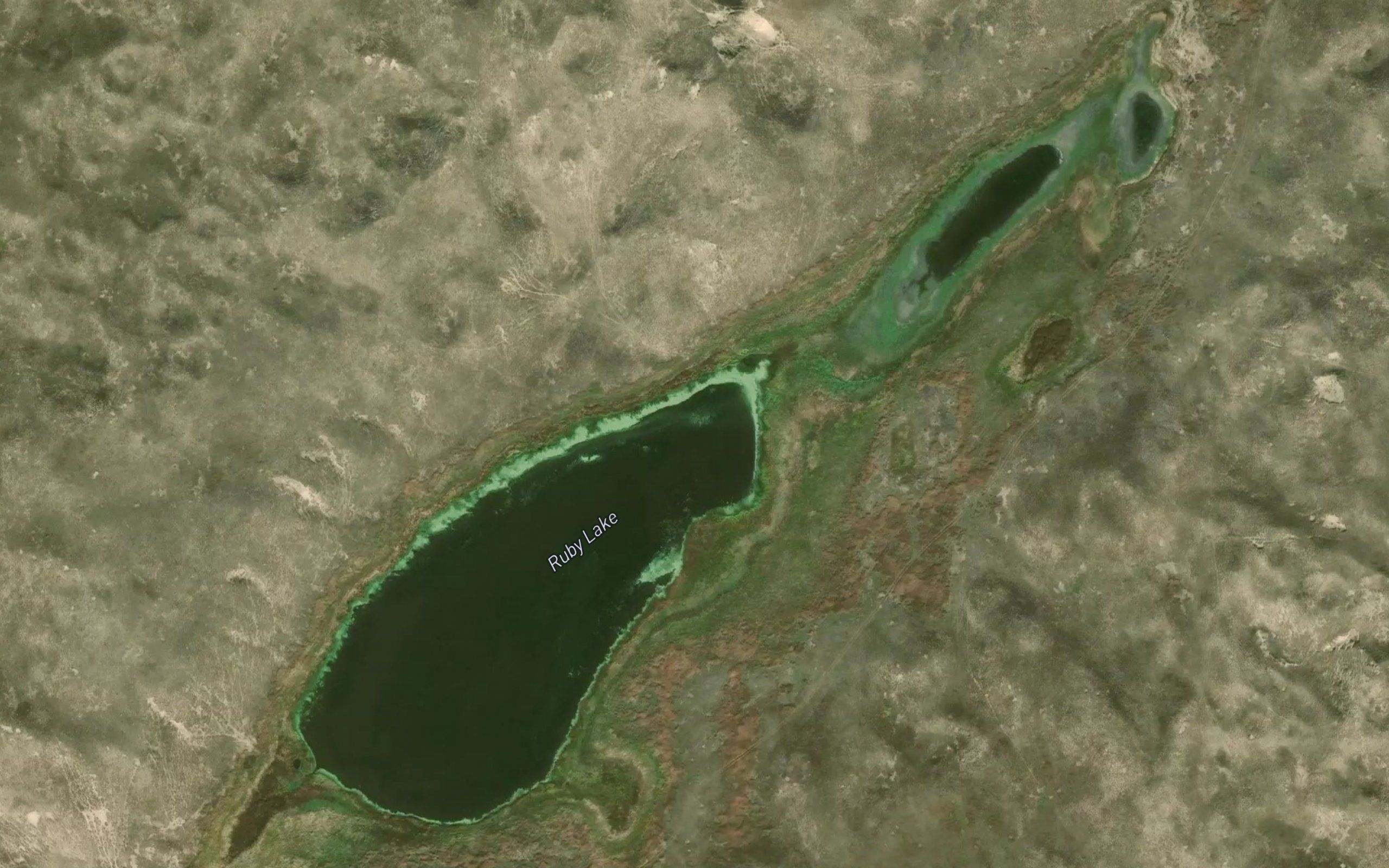 Ruby Lake