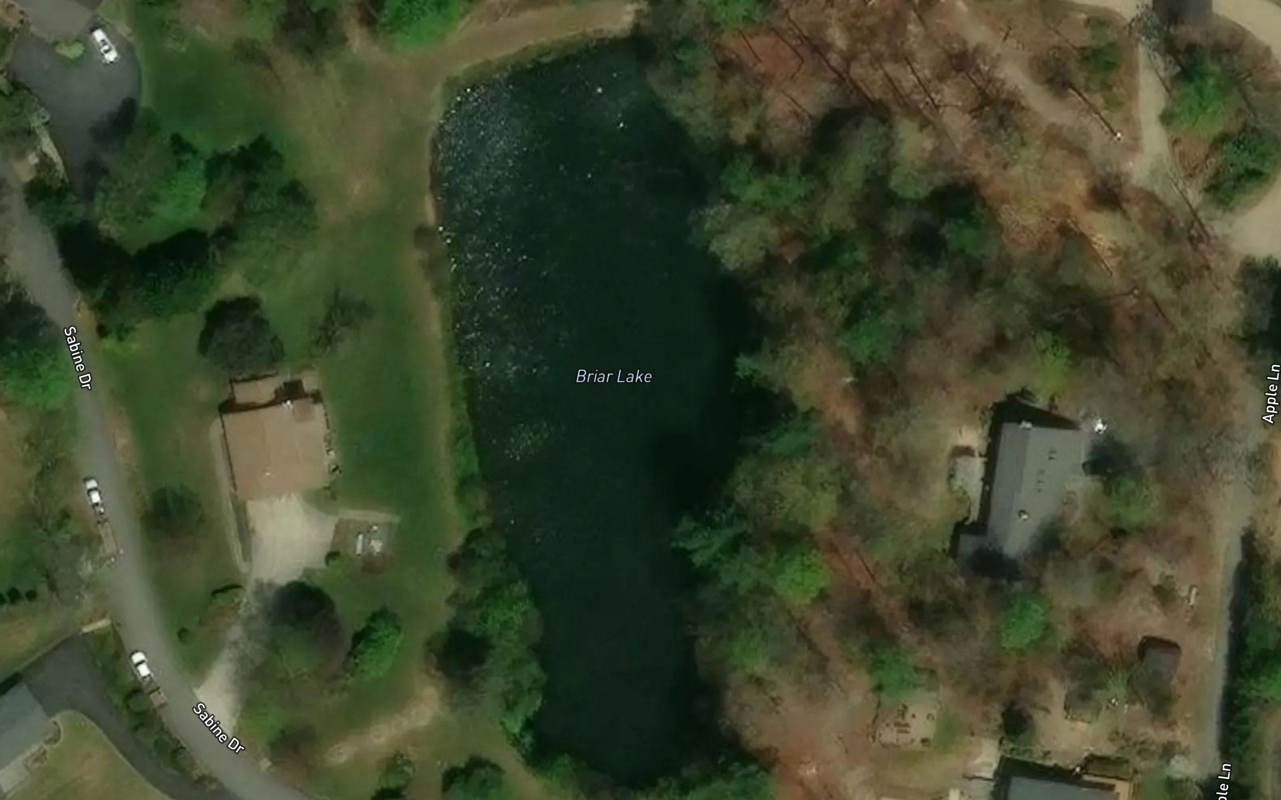 Briar Lake