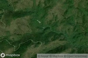 Chestnut Cove Branch