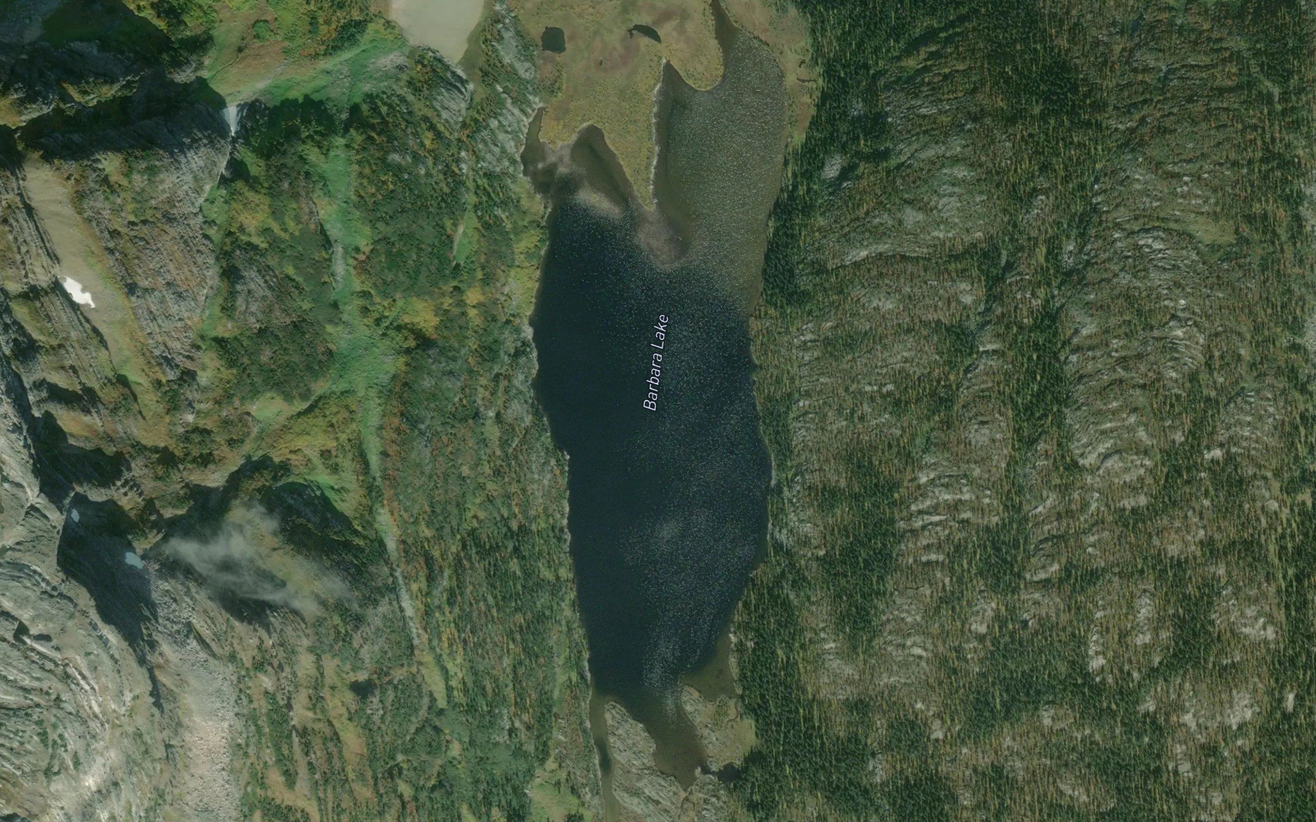 Barbara Lake