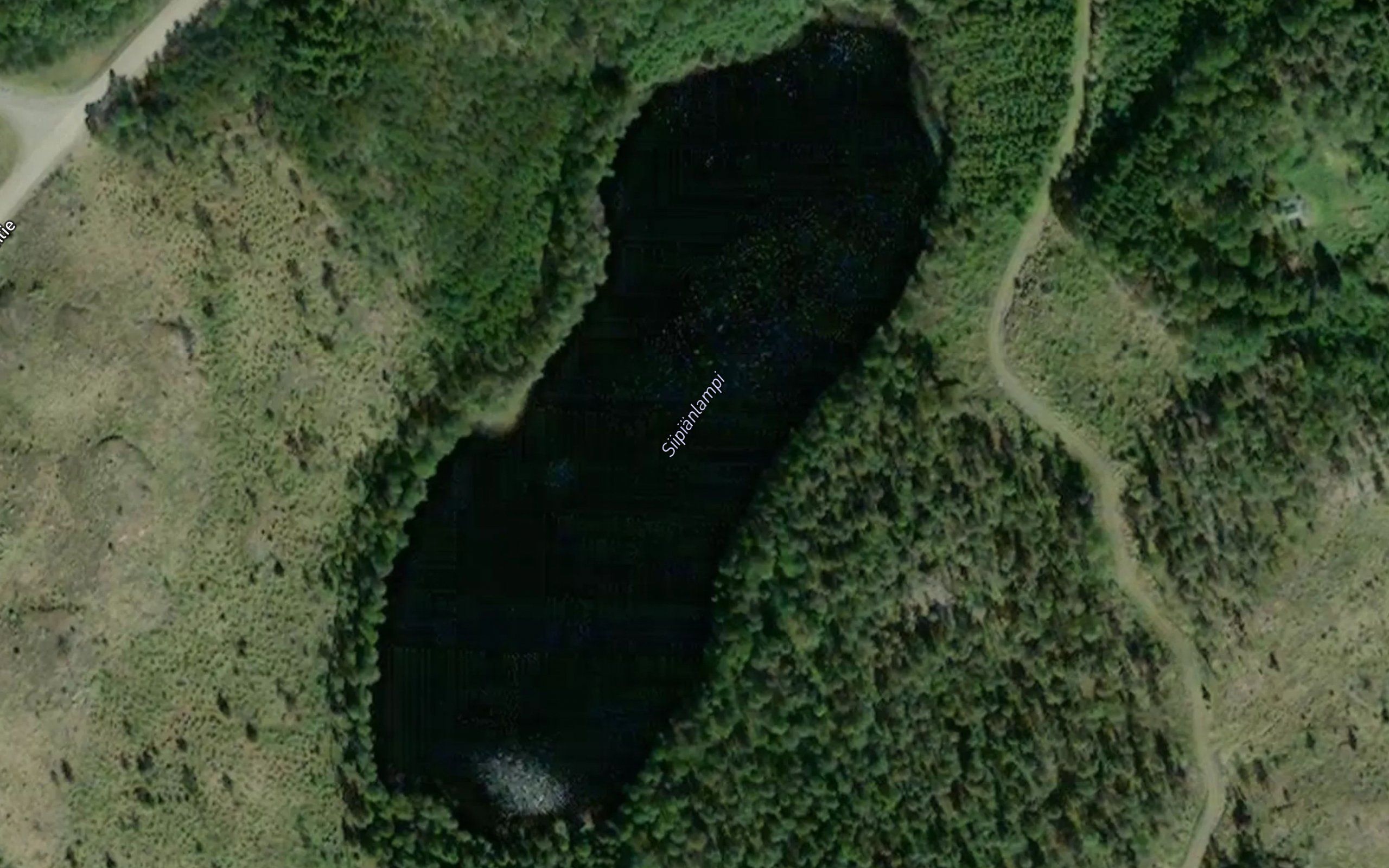 Siipianlampi
