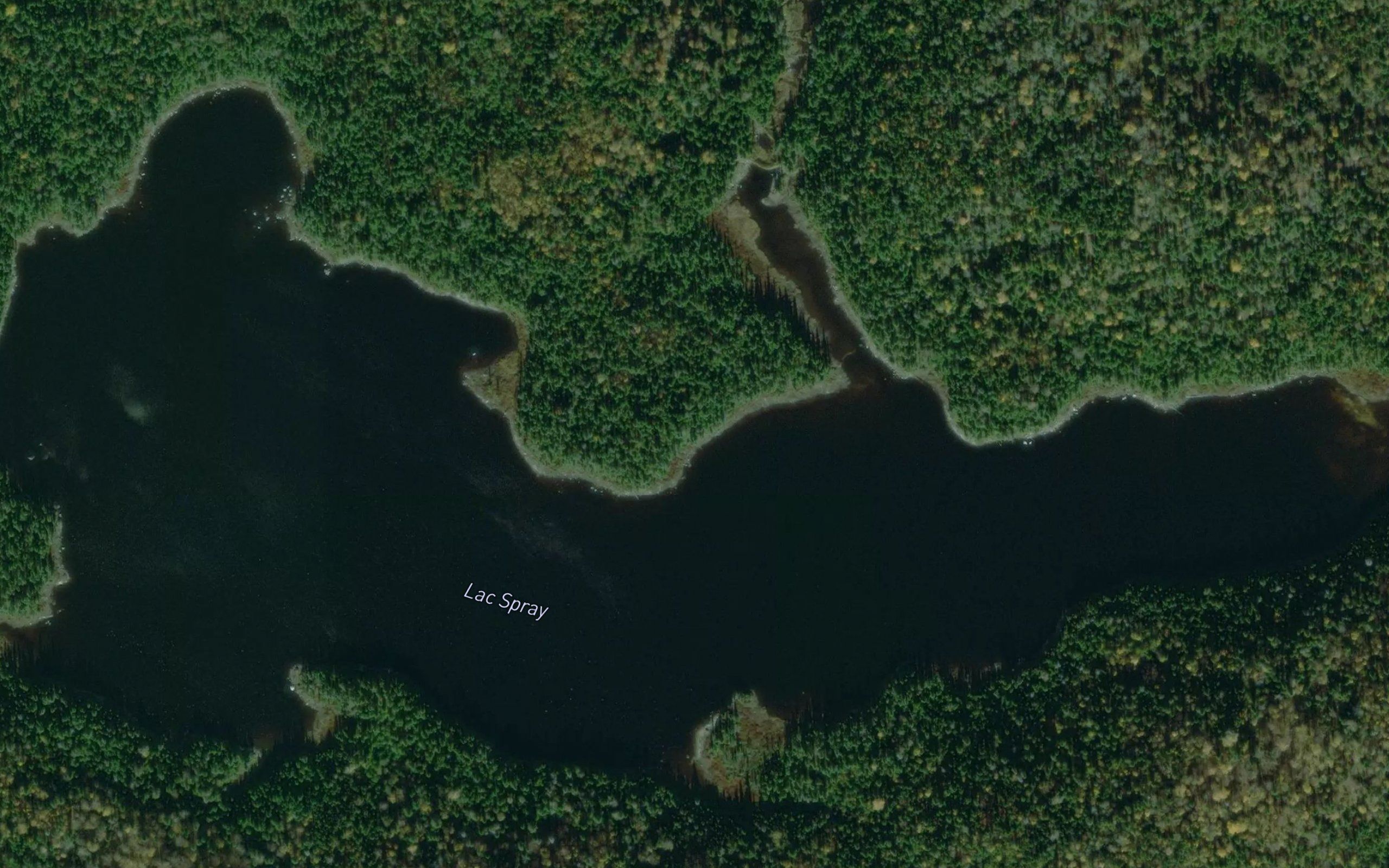 Lac Spray