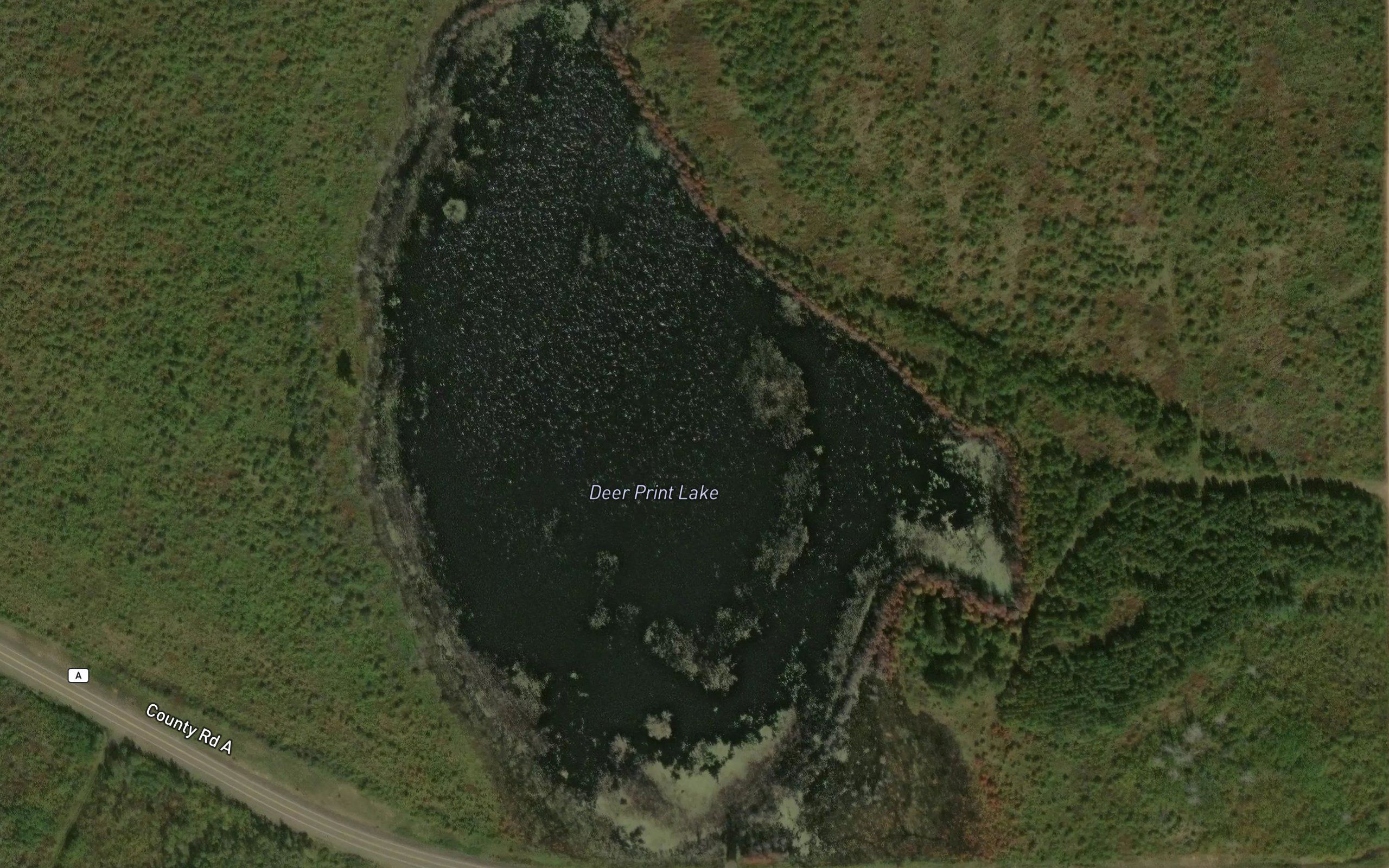 Deer Print Lake