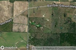 Hammock Springs