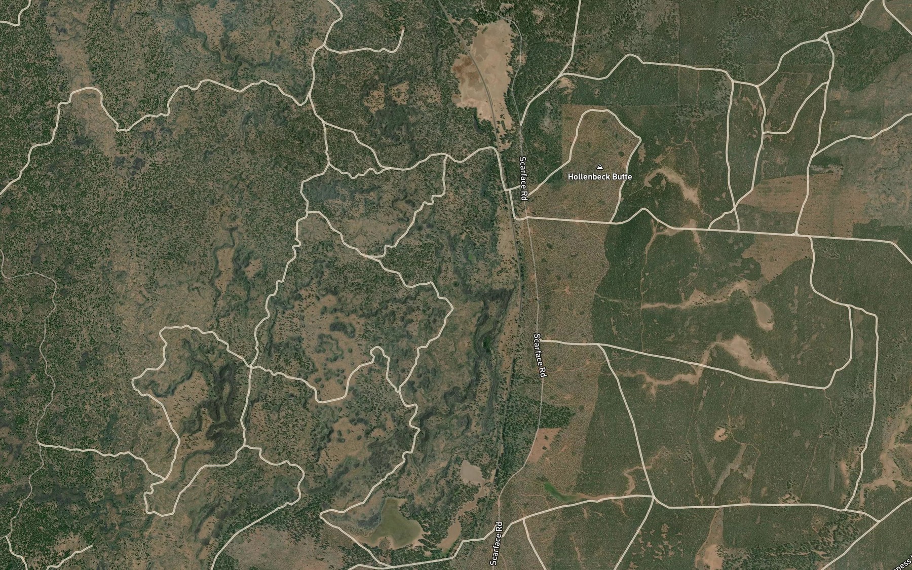 Satellite map of the Lava Lake